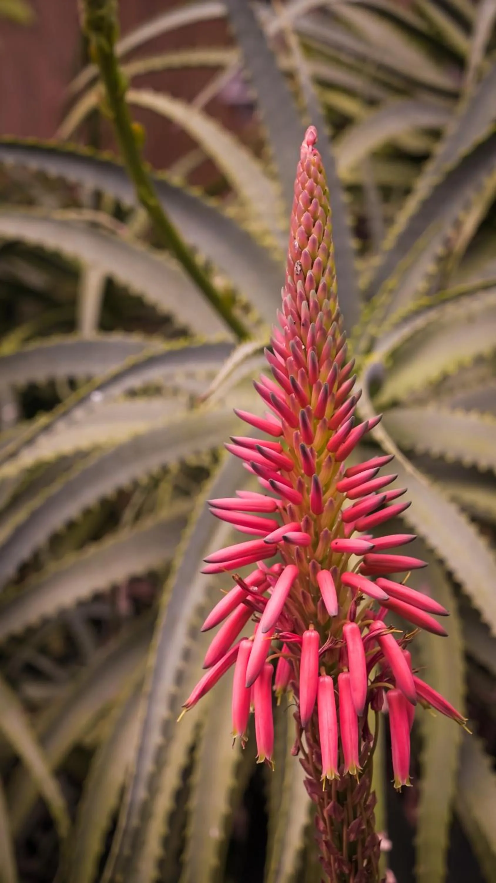 Property building in Guayaba Inn Boutique Hotel