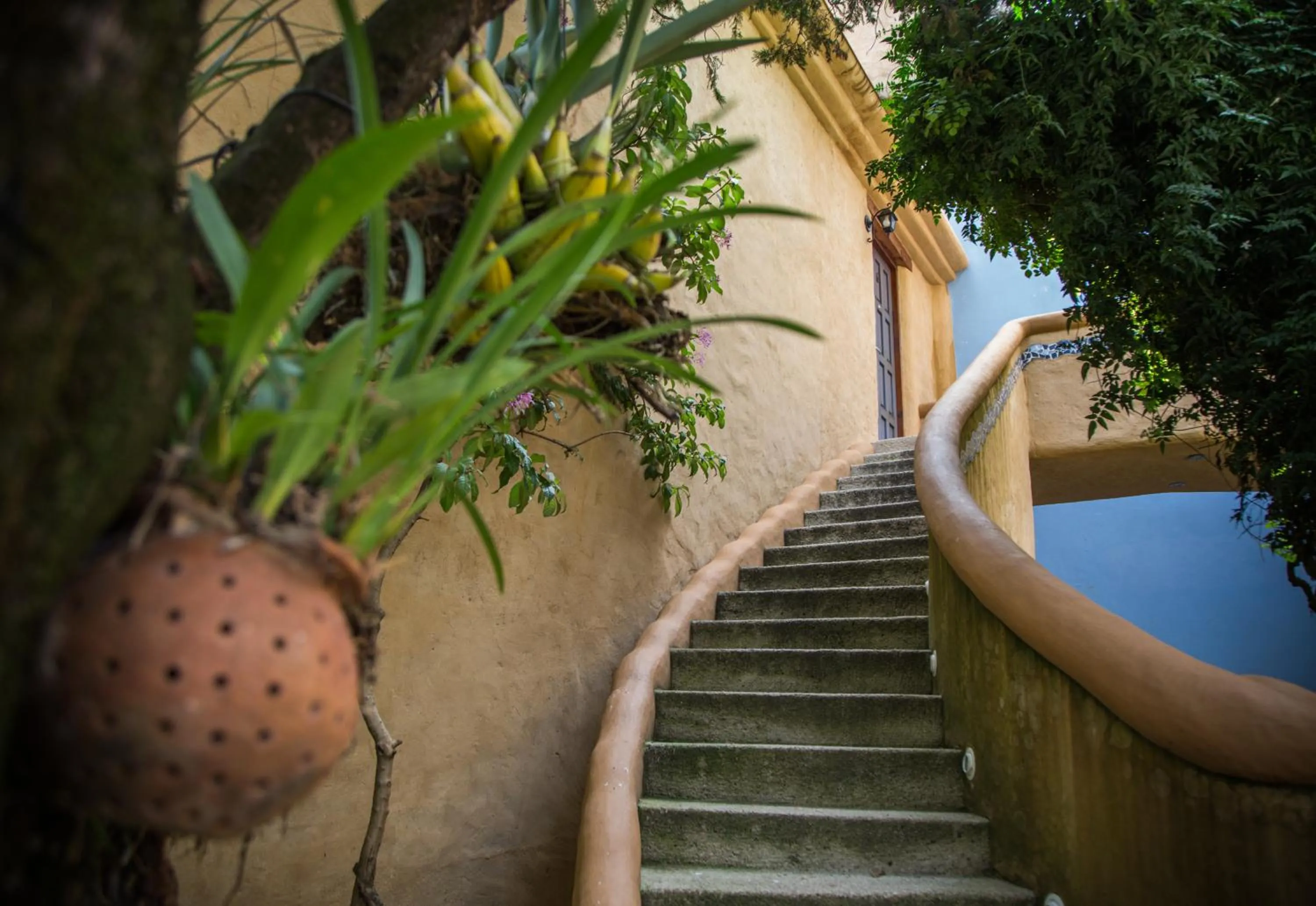 Property building in Guayaba Inn Boutique Hotel