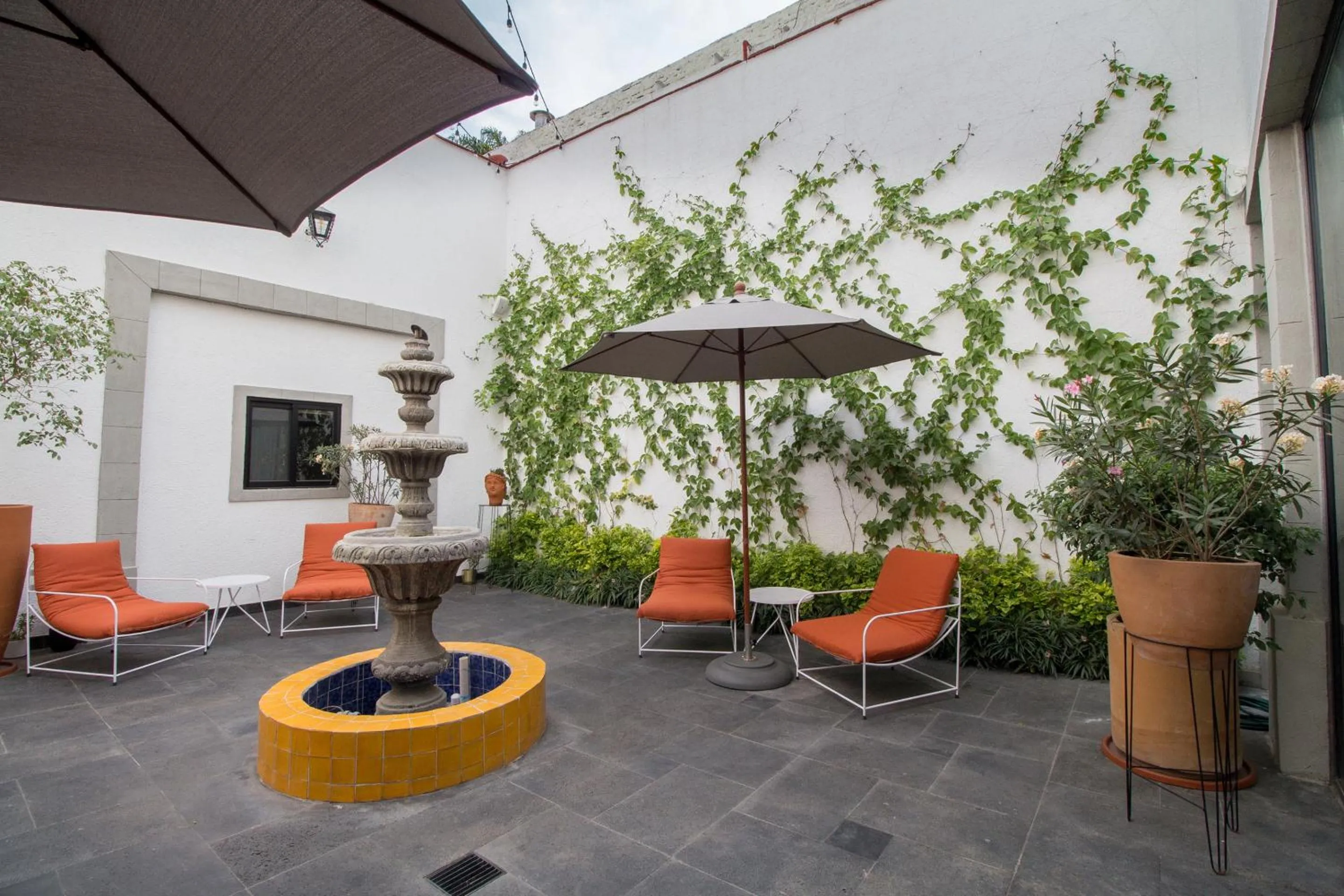 Patio in Hotel Casona Independencia