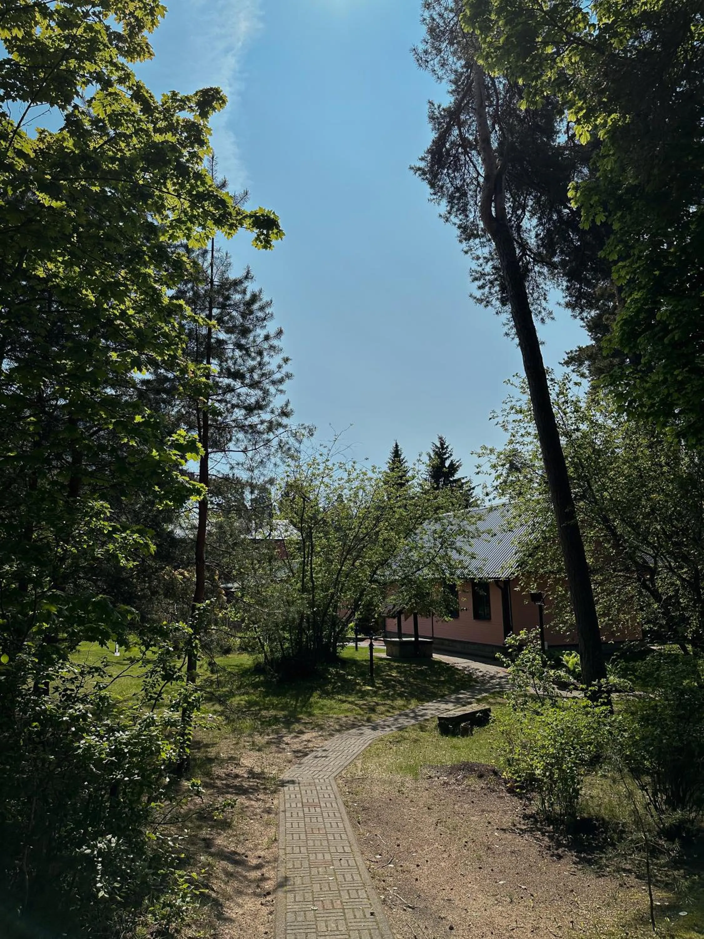 Area and facilities in Pansionaat Valentina