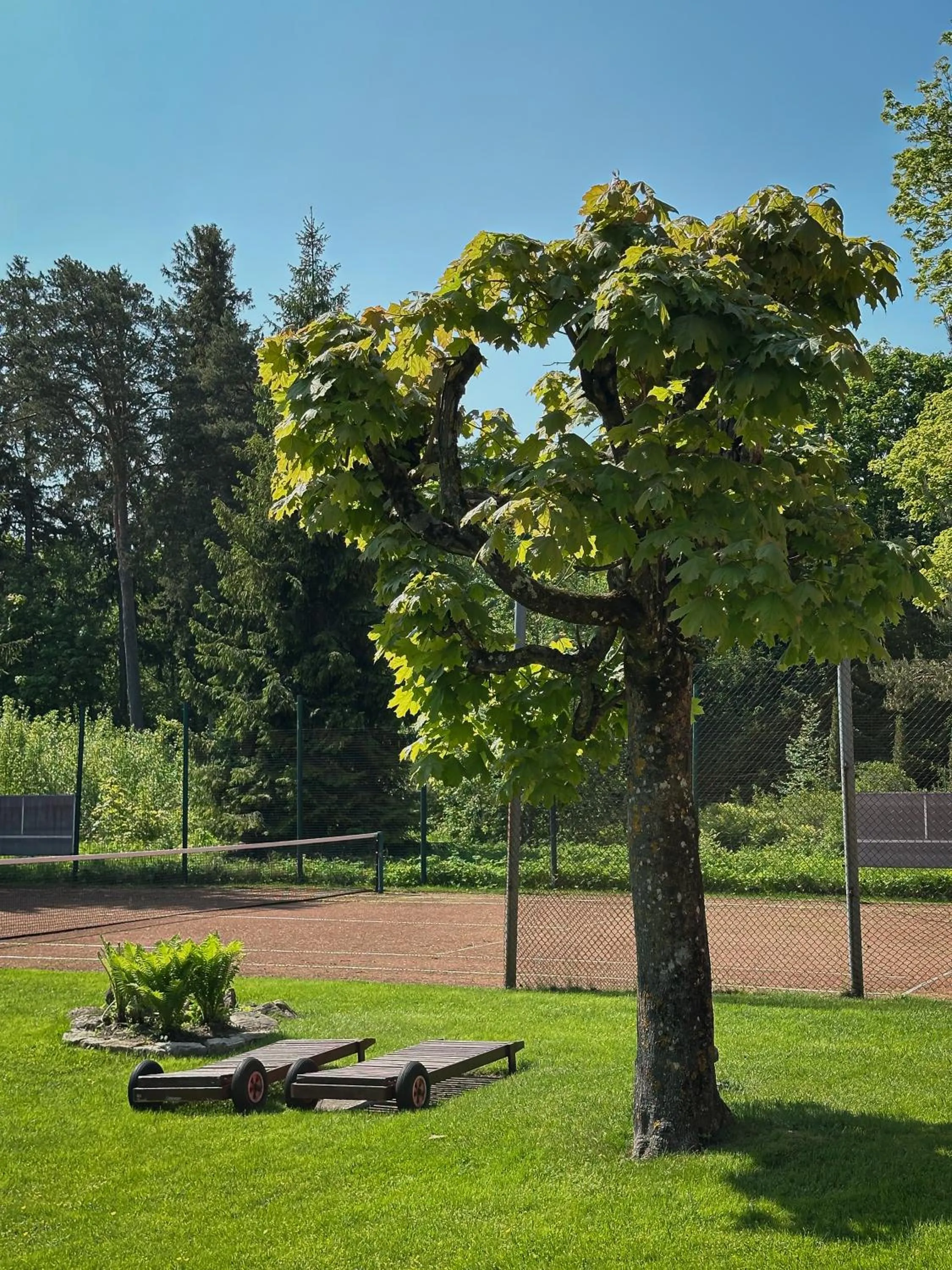 Tennis court in Pansionaat Valentina