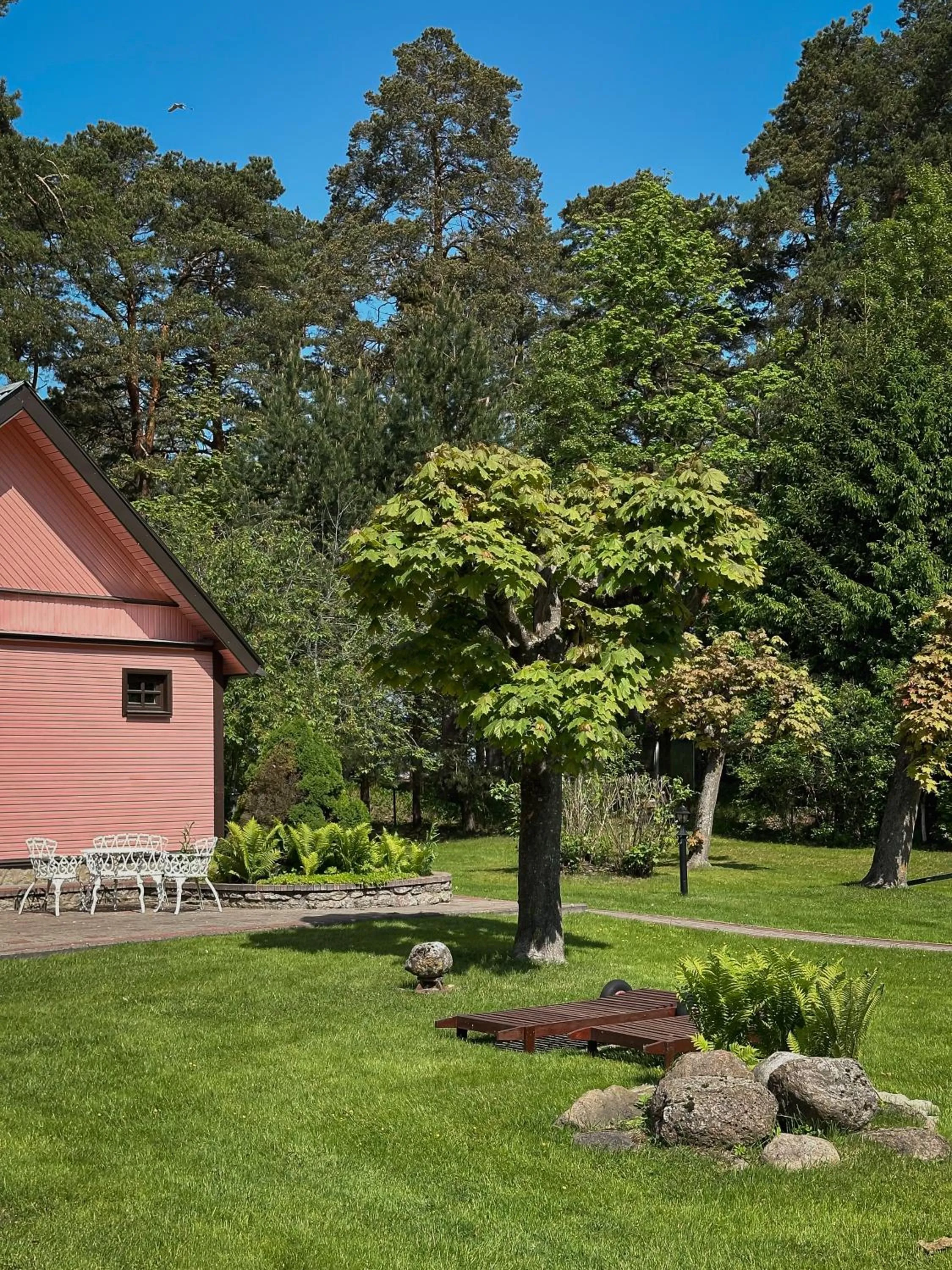 Garden in Pansionaat Valentina