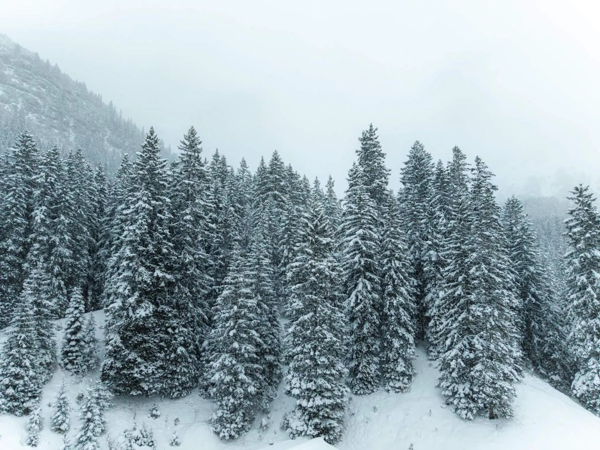 Natural landscape in NEW Hotel Kristberg in Lech - new opening since December 2025