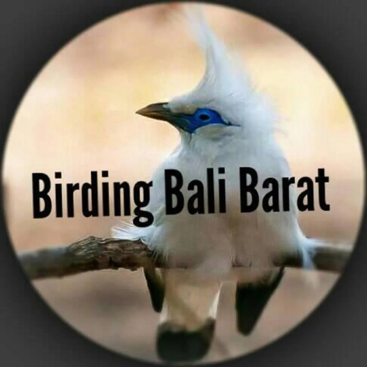 Hiking in Taman Menjangan homestay by SnorkelingMenjangan