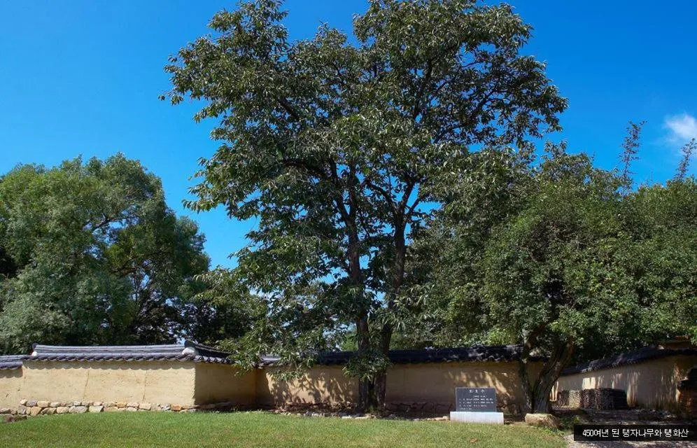 Garden in Bukchondaek