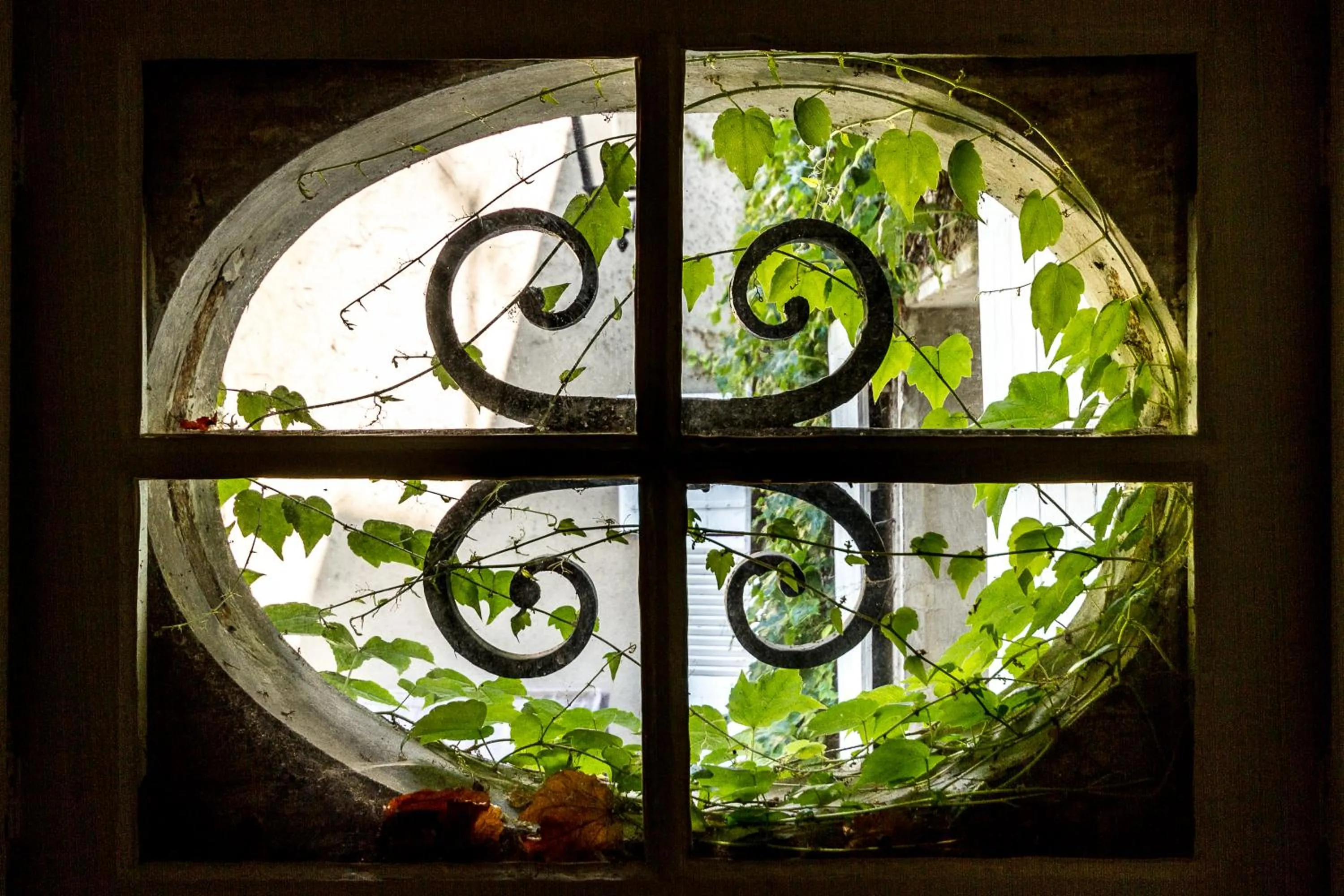 Decorative detail in Le Fassardy
