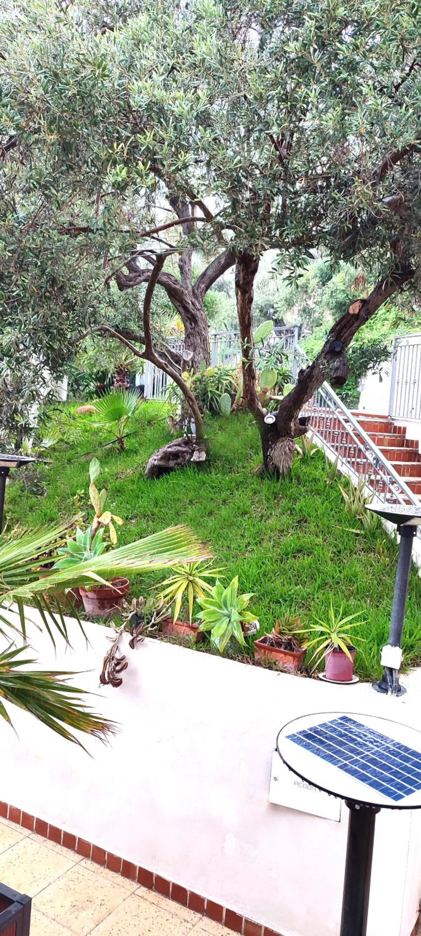 Garden in Villa Arianna B&B