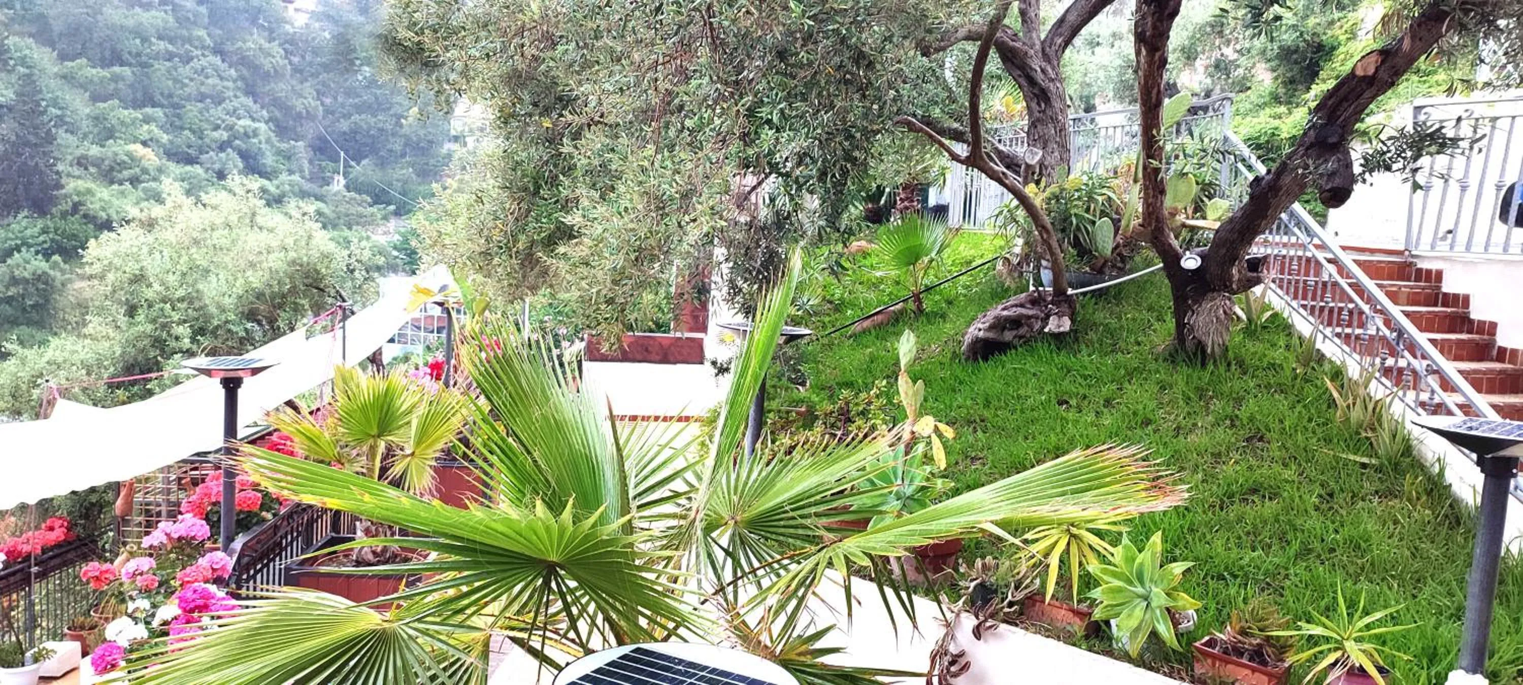 Garden in Villa Arianna B&B