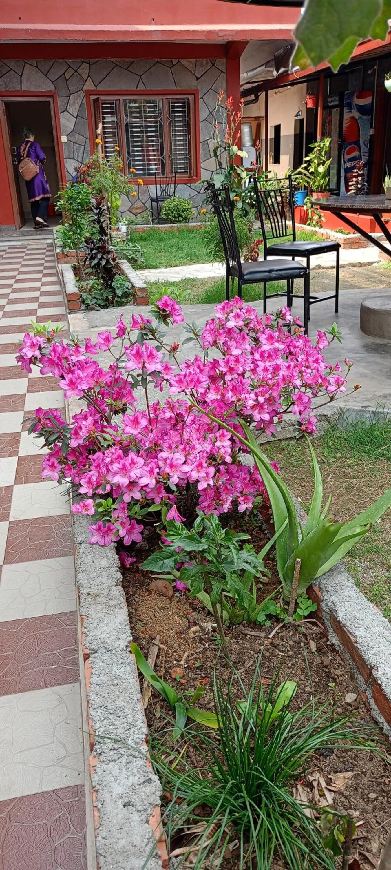 Garden in Pokhara Metro Eco Hotel
