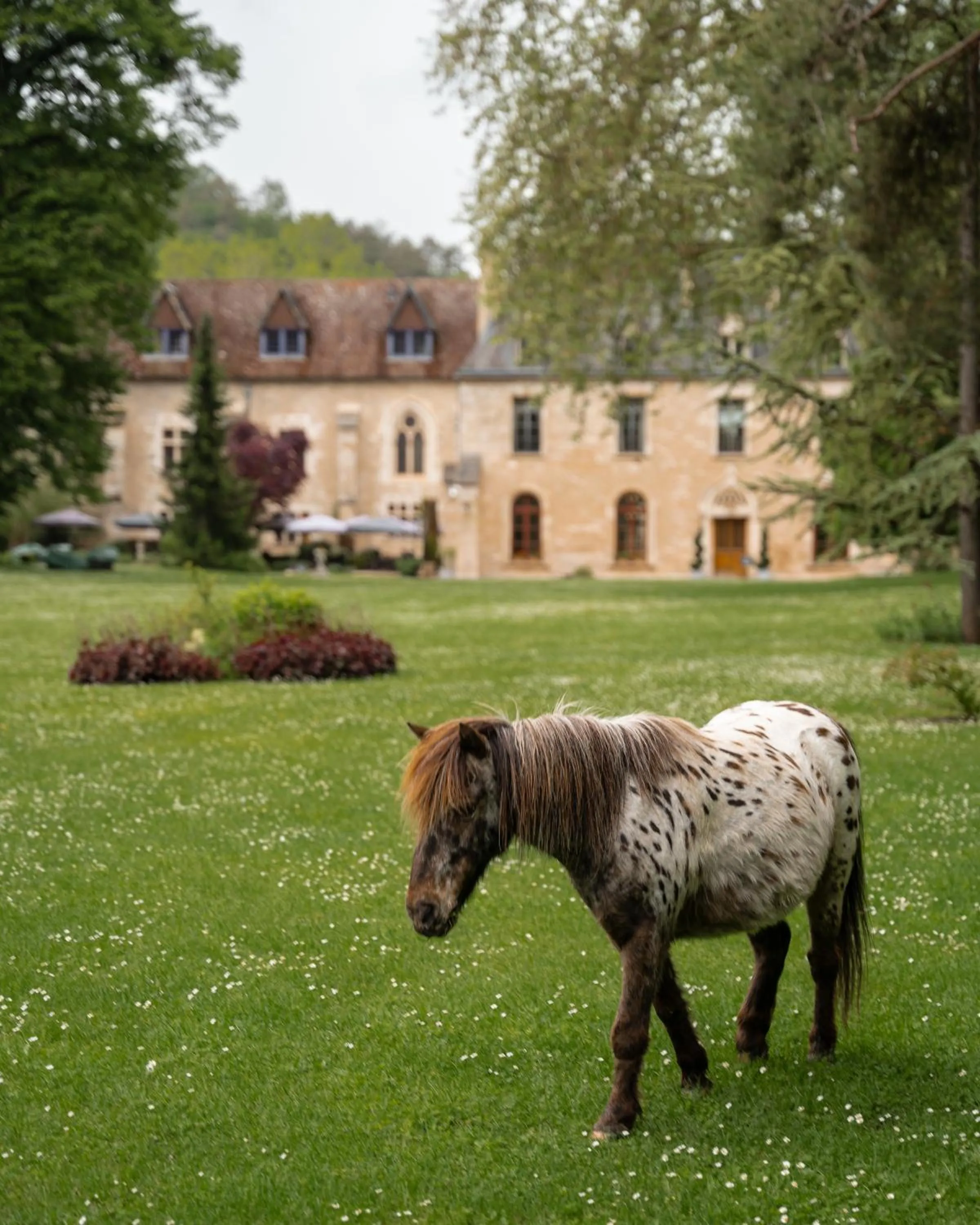 Abbaye de la Bussière