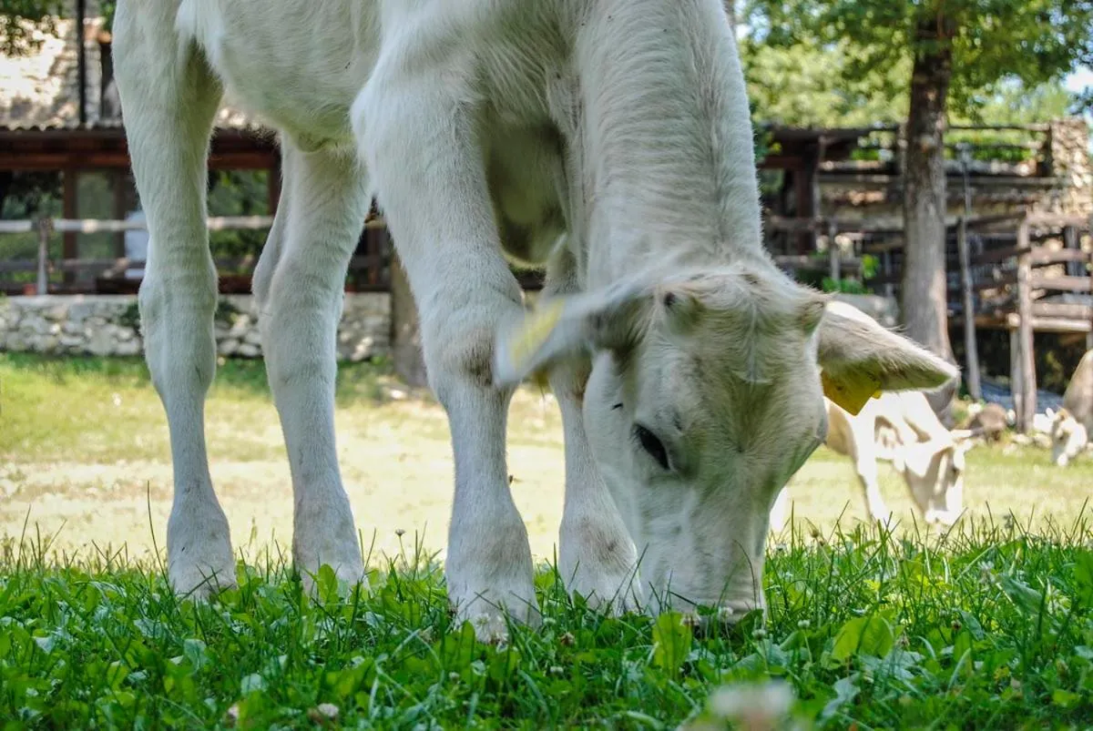 Agriturismo La Ferrera