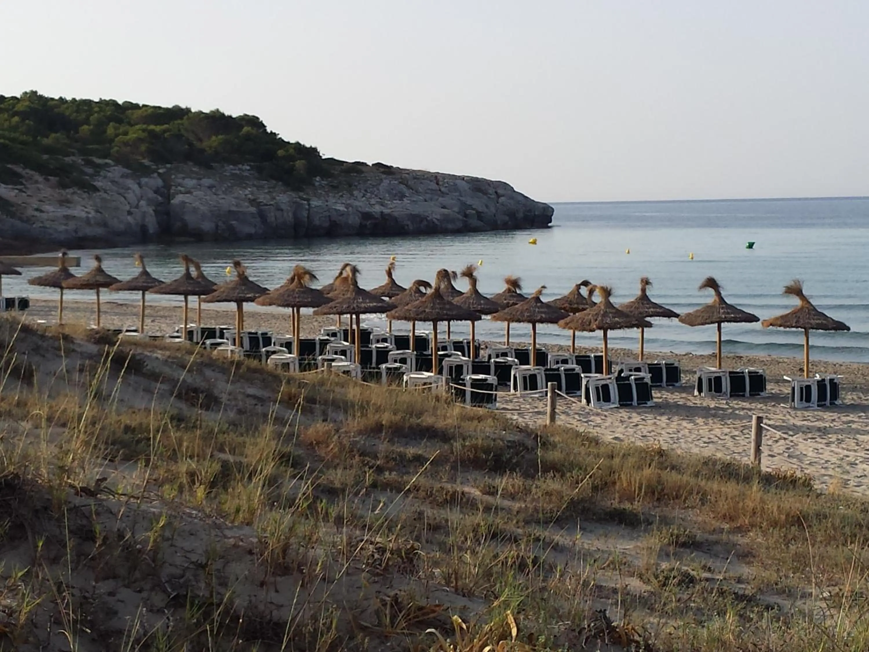 Day in Hamilton Court