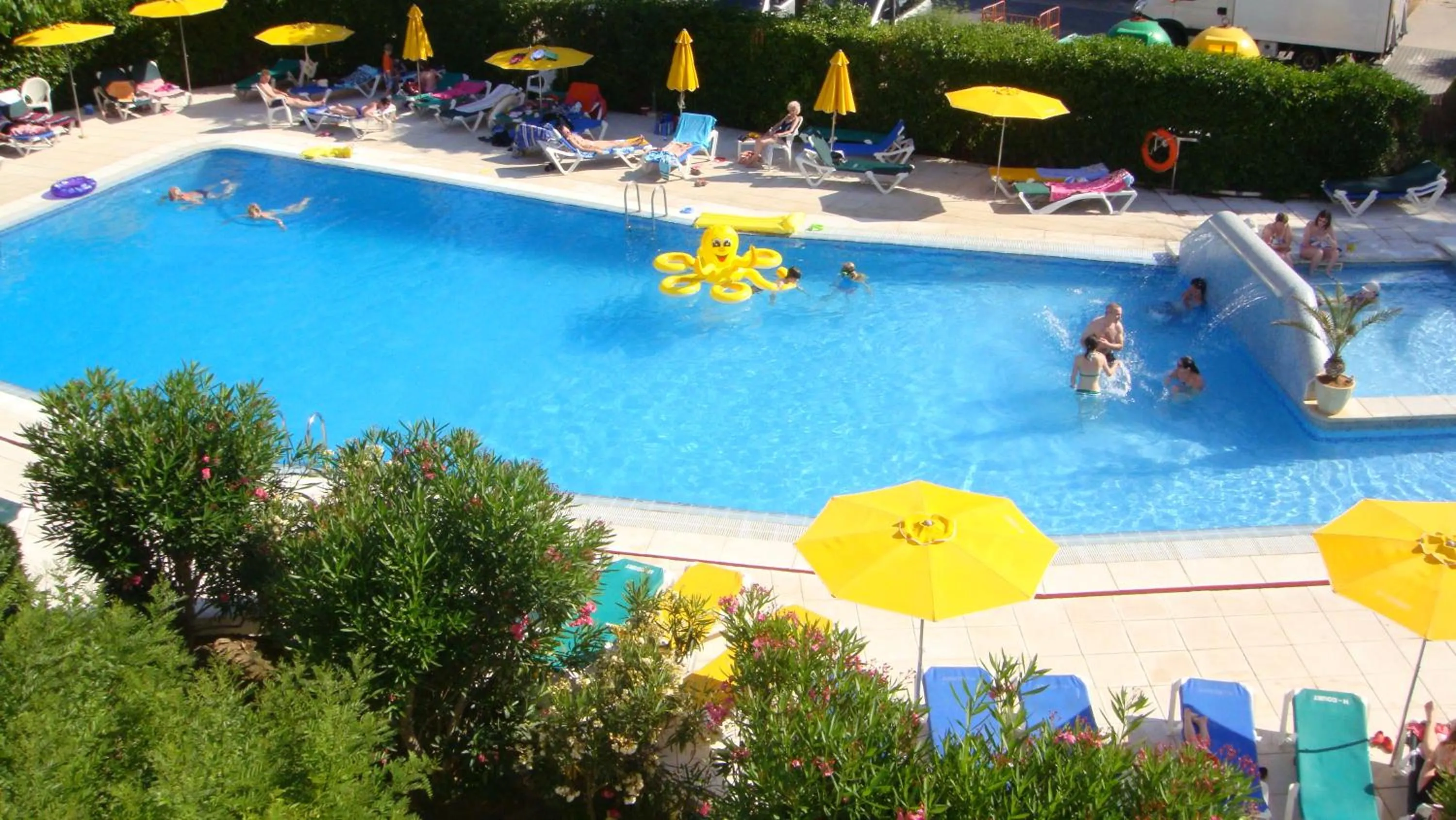 Day in Hamilton Court