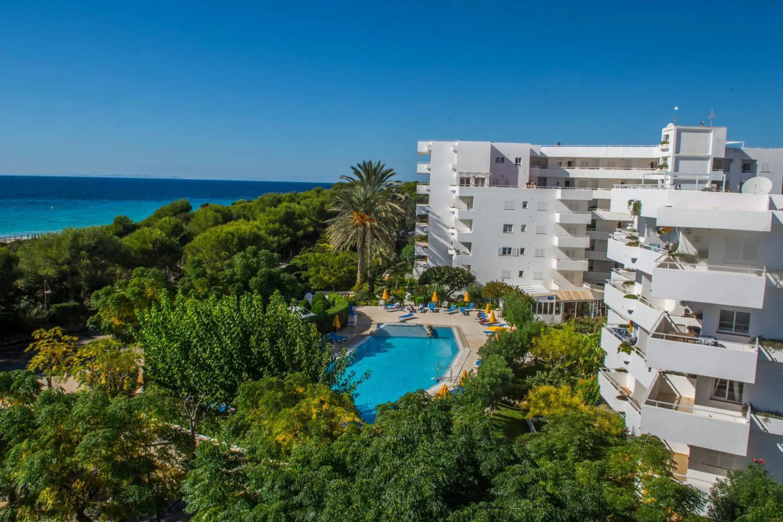 Bird's eye view in Hamilton Court Bird's eye view in Hamilton Court