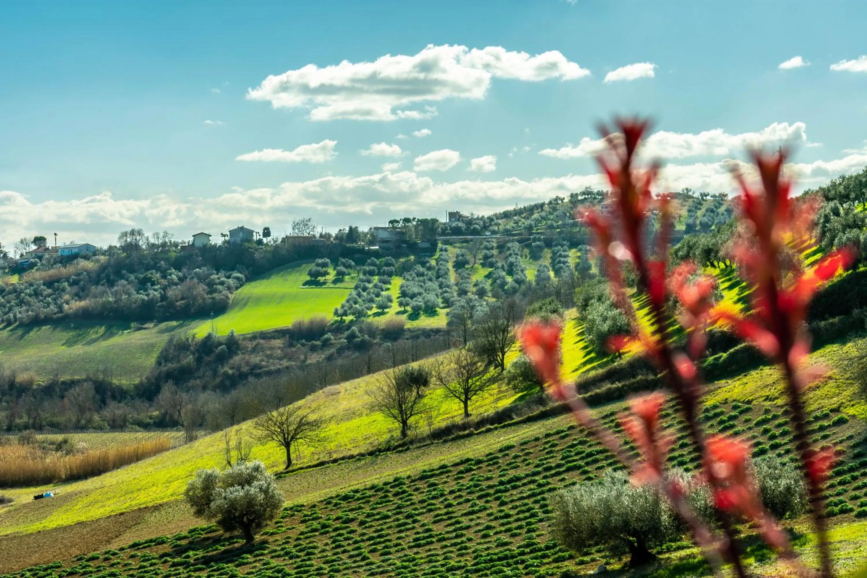 Natural landscape in La Casa del Nonno