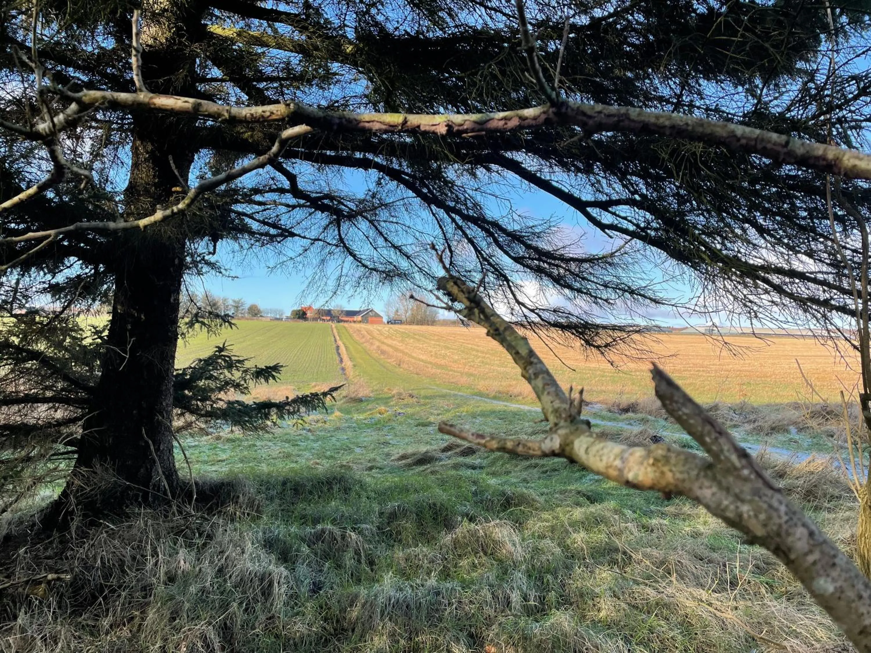 Natural landscape in Høloftet bb