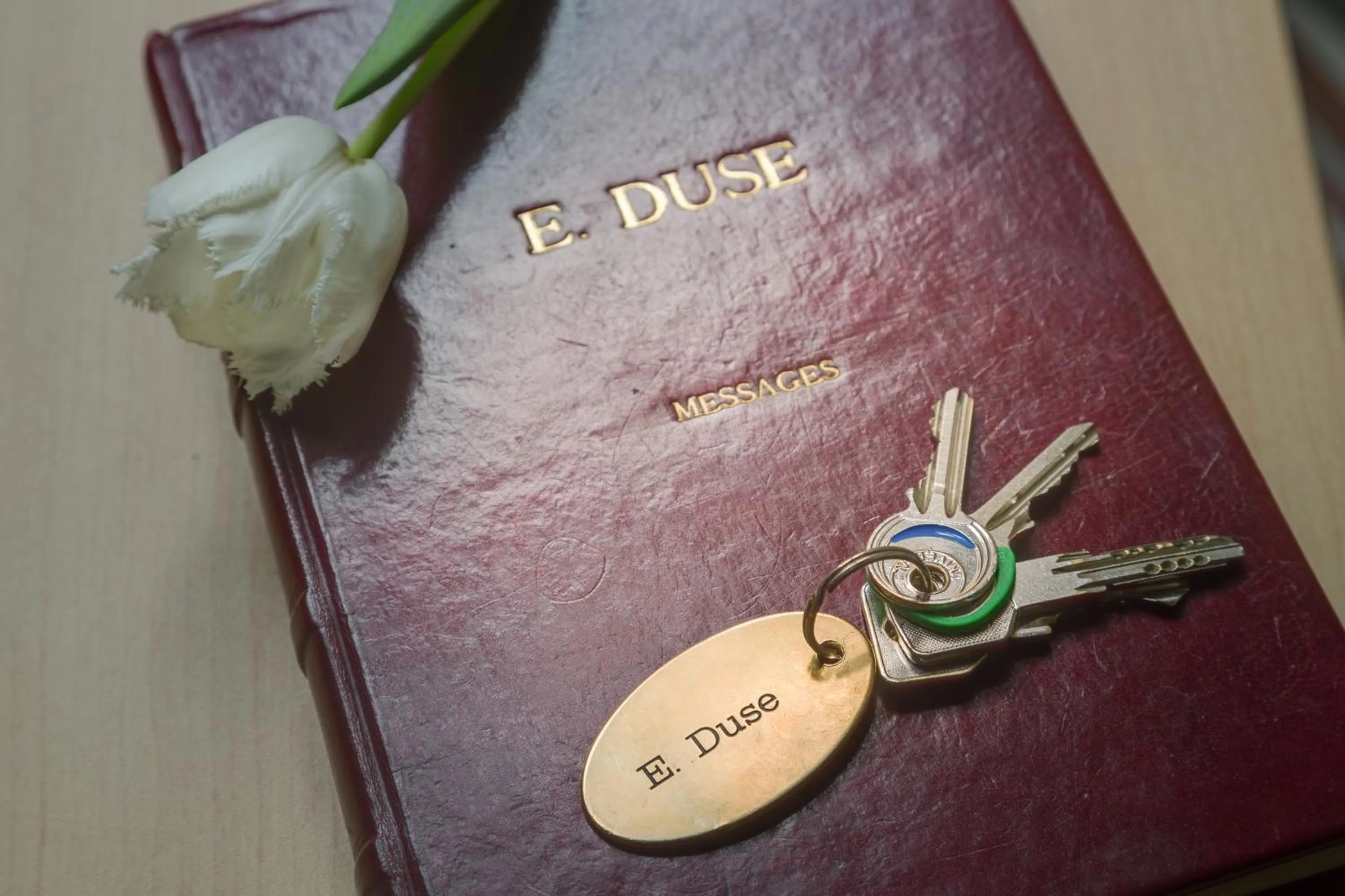 Decorative detail in B&B Cavour10 Firenze