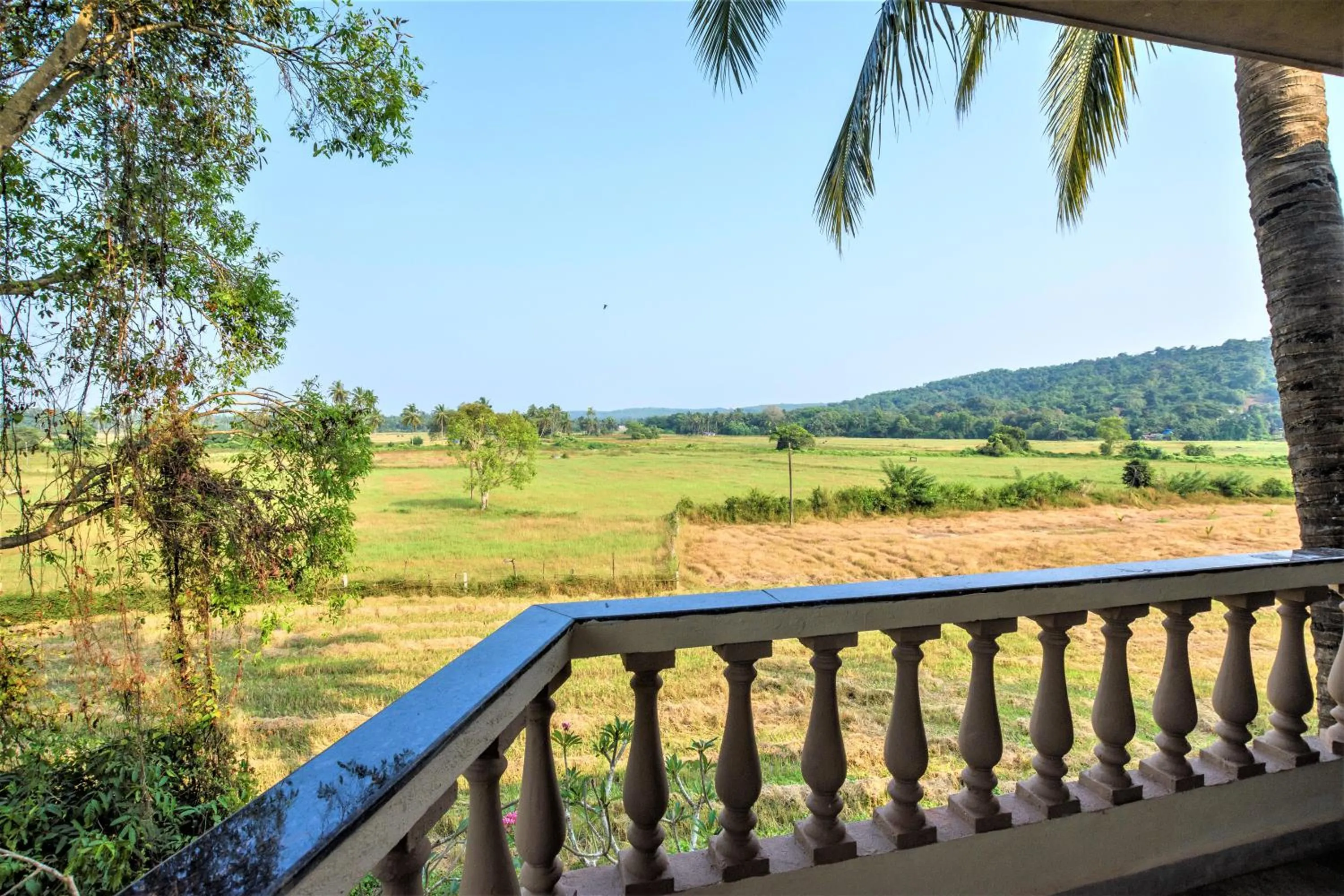 Balcony/Terrace in Casa Da Village Calangute Goa