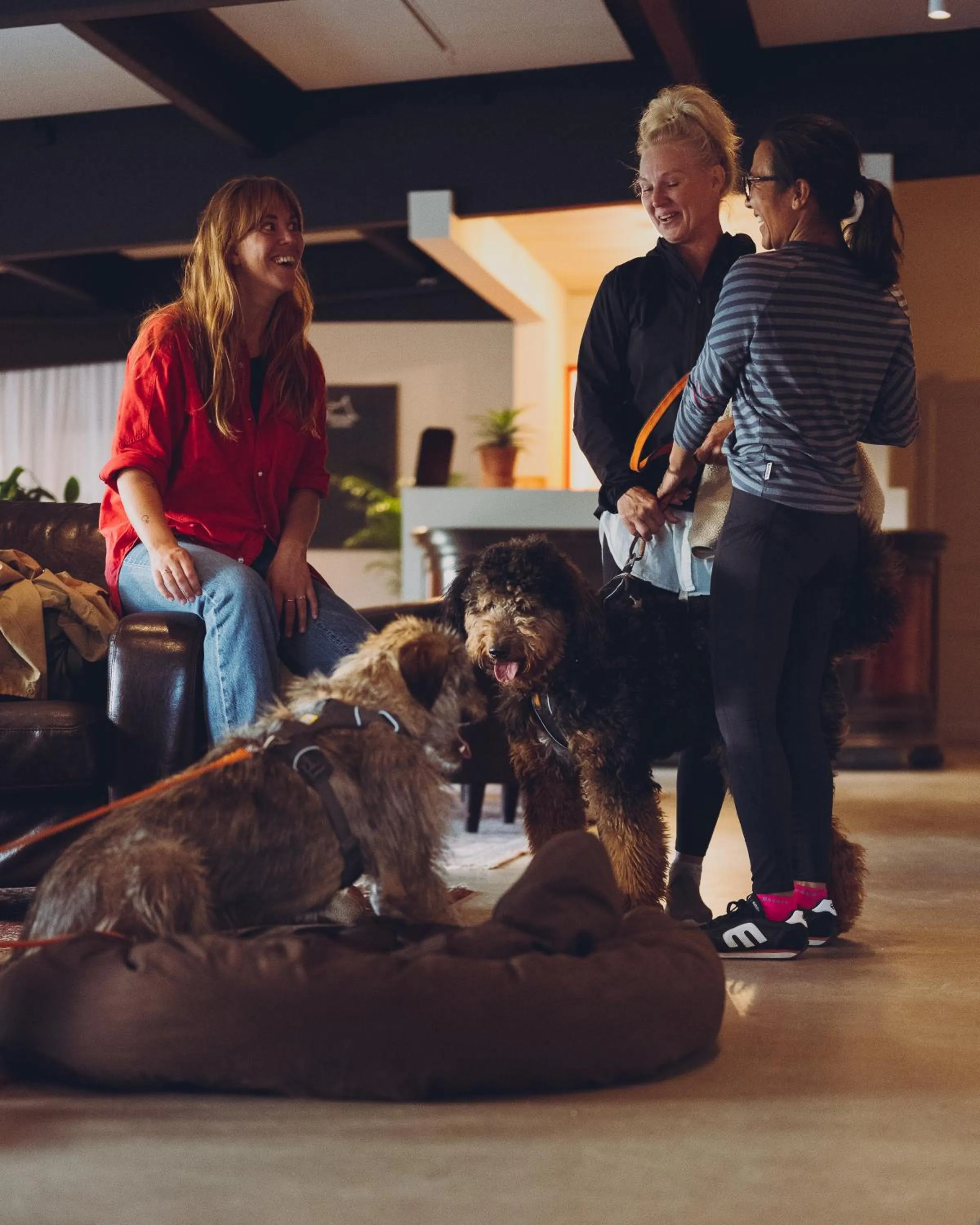 Pets in Lofsdalens Fjällhotell & Hotellbyns Lägenheter