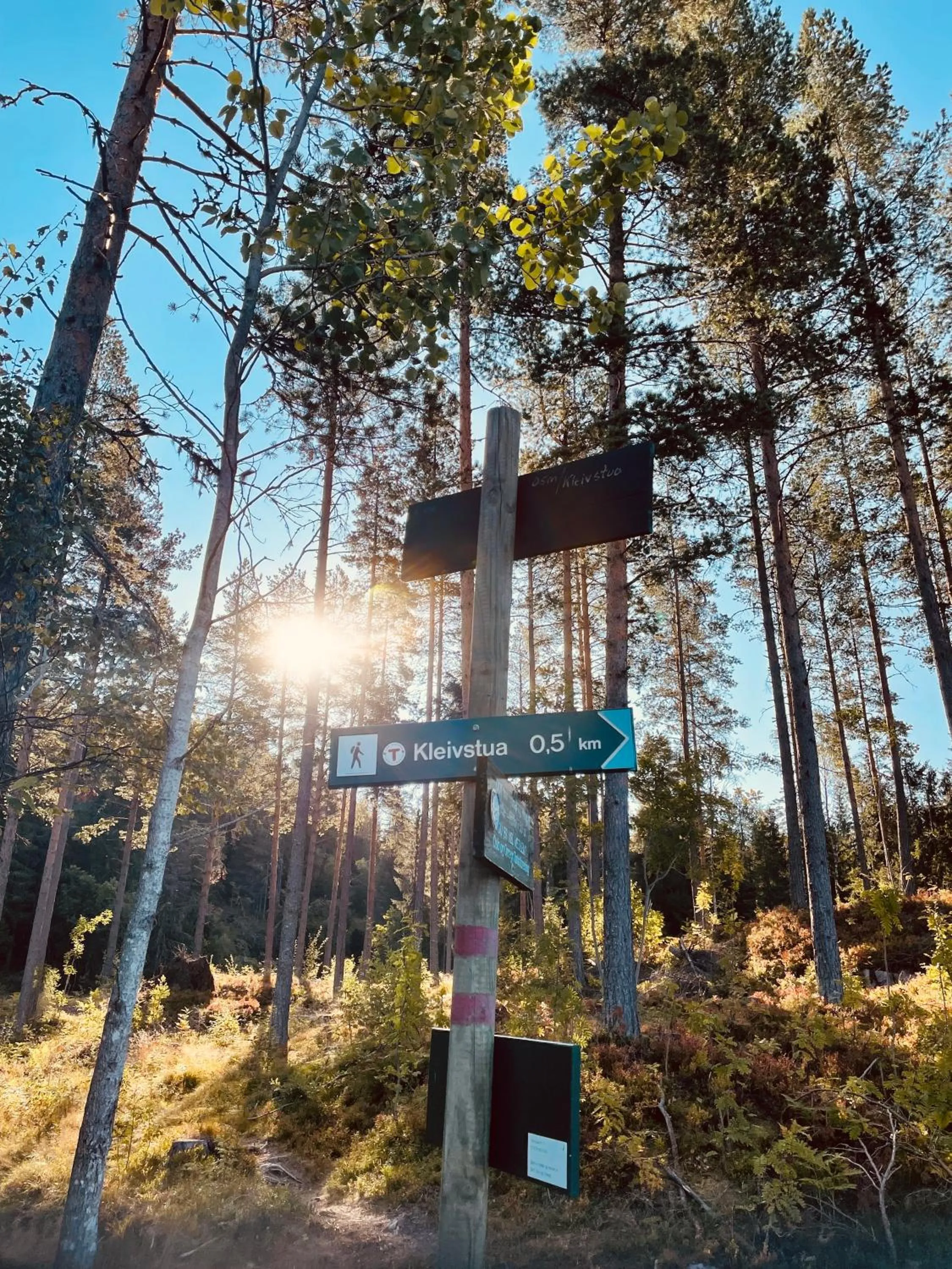 Spring in Kleivstua Hotel near Krokskogen