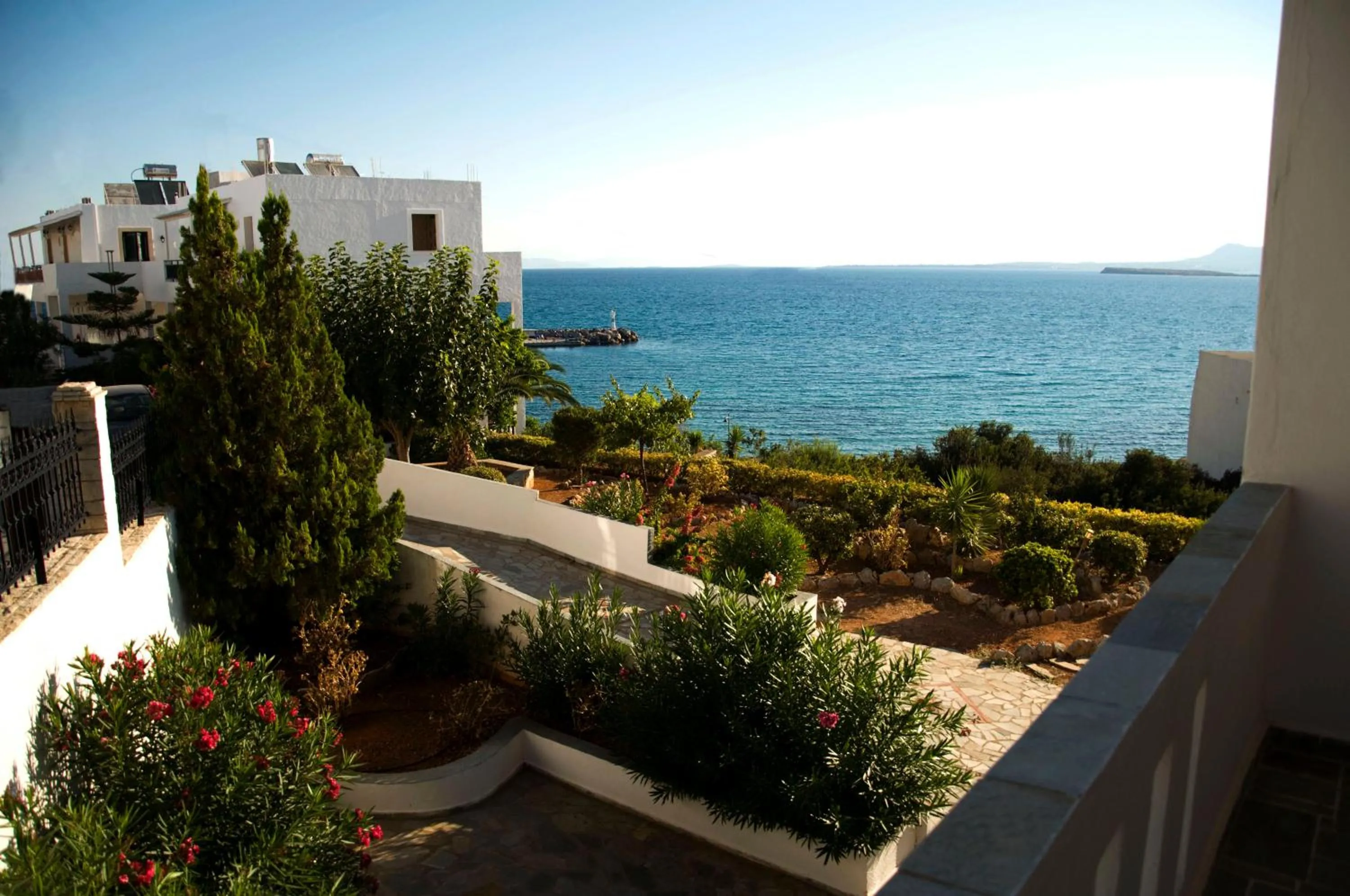 Garden in Sunrise Studios