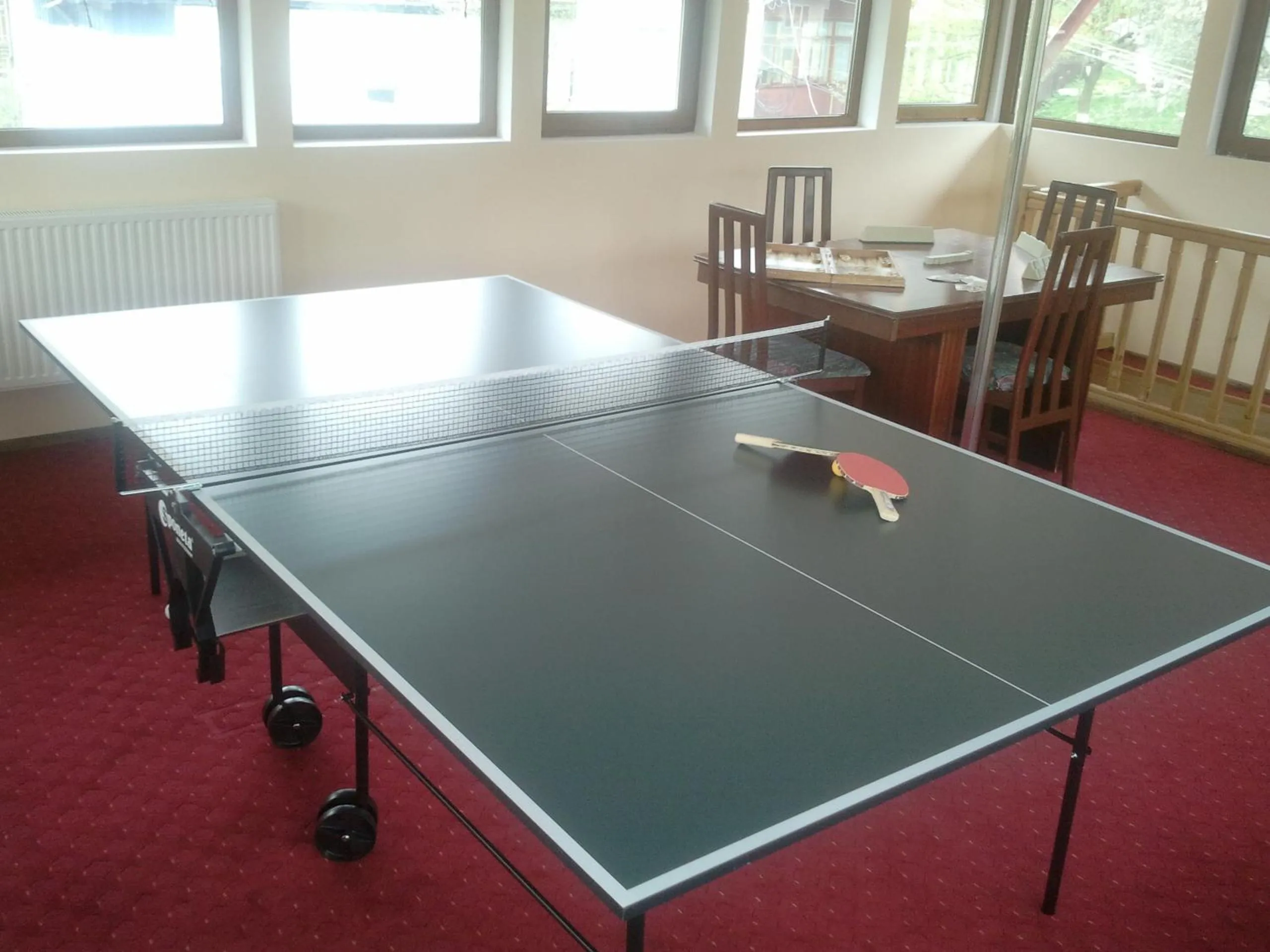 Table tennis in New Aosta Garden
