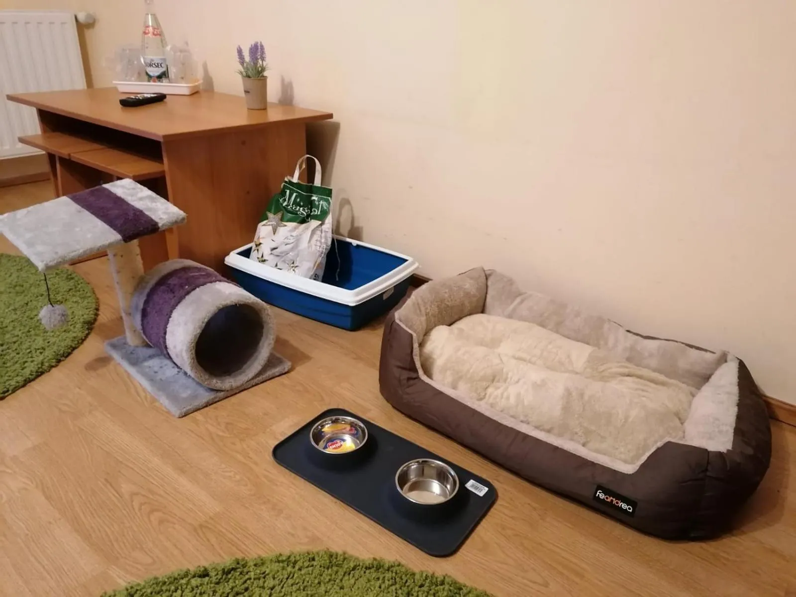 Pets, Bed in New Aosta Garden
