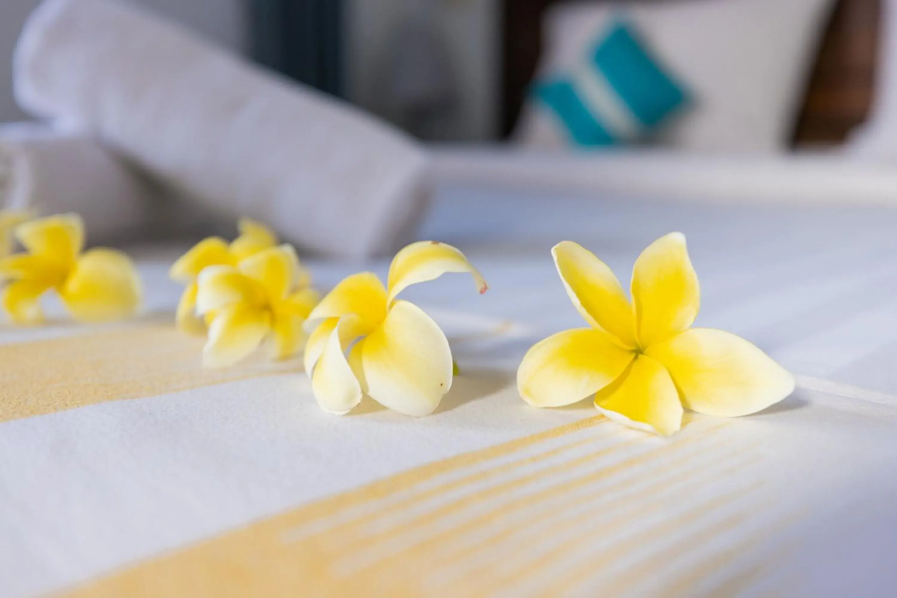 Bedroom, Bed in Suite Home Boutique Hotel Bedroom, Bed in Suite Home Boutique Hotel