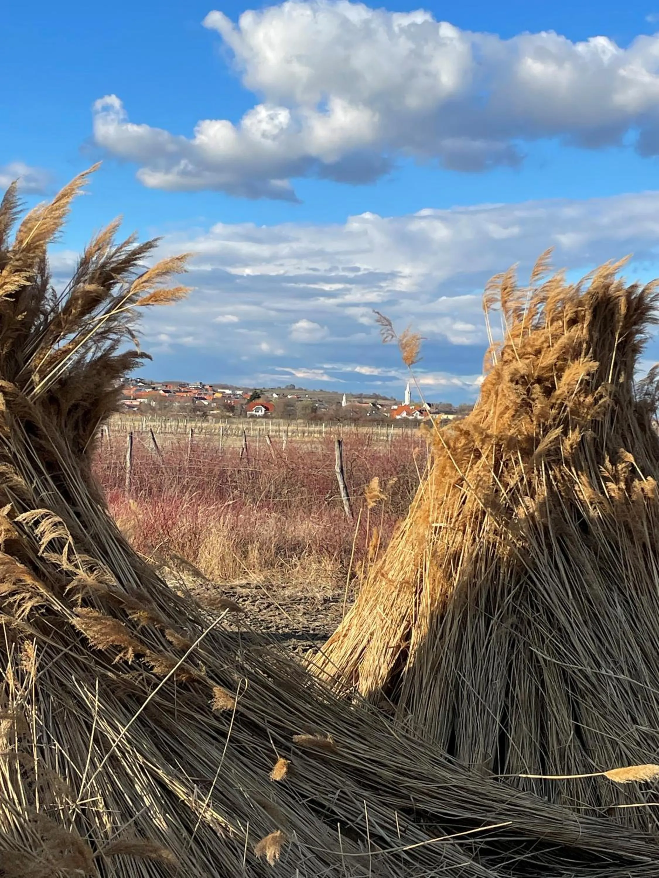 Spring in Haus Martin - Schneeberger
