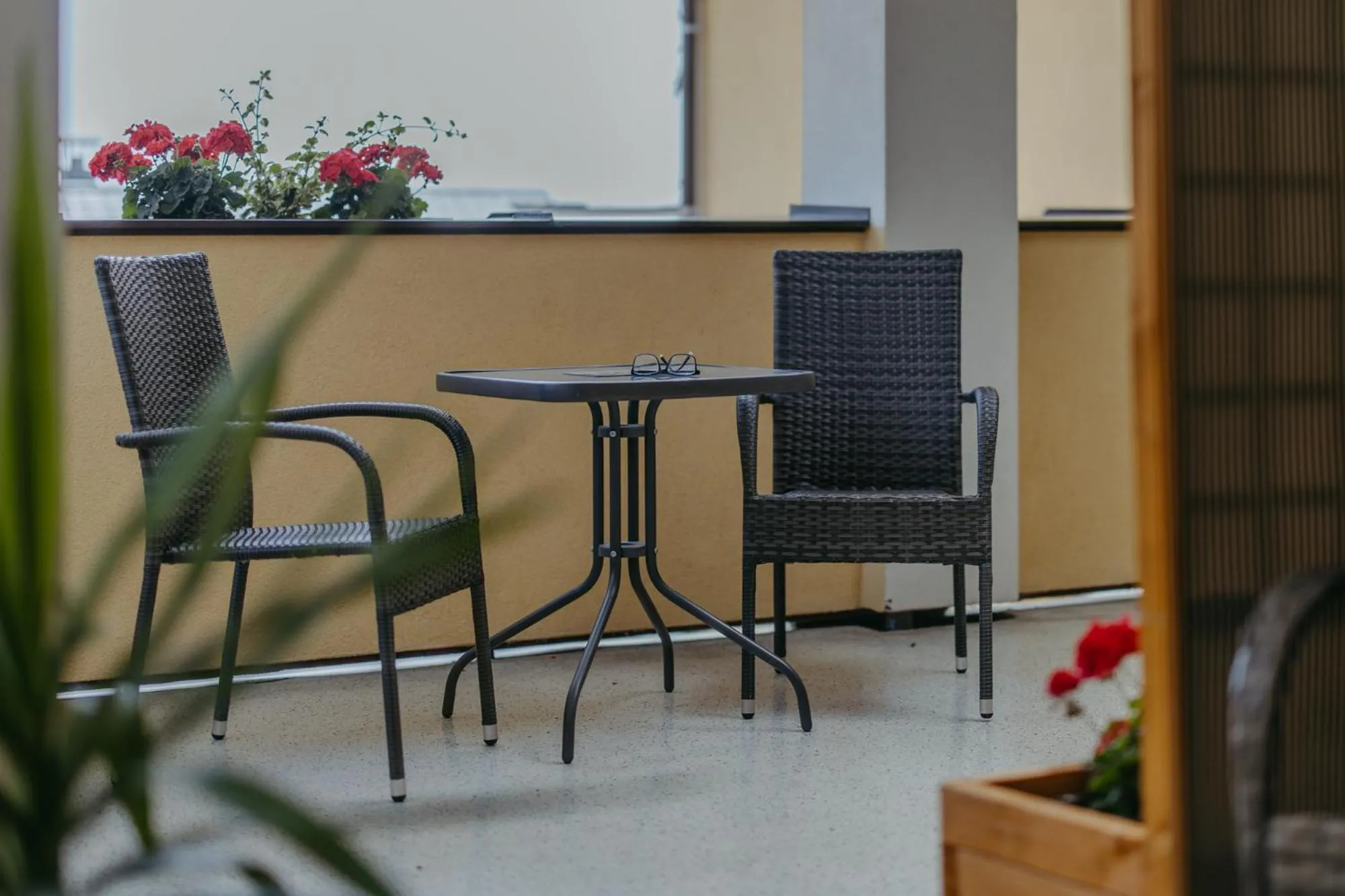 View (from property/room) in Haus Martin - Schneeberger