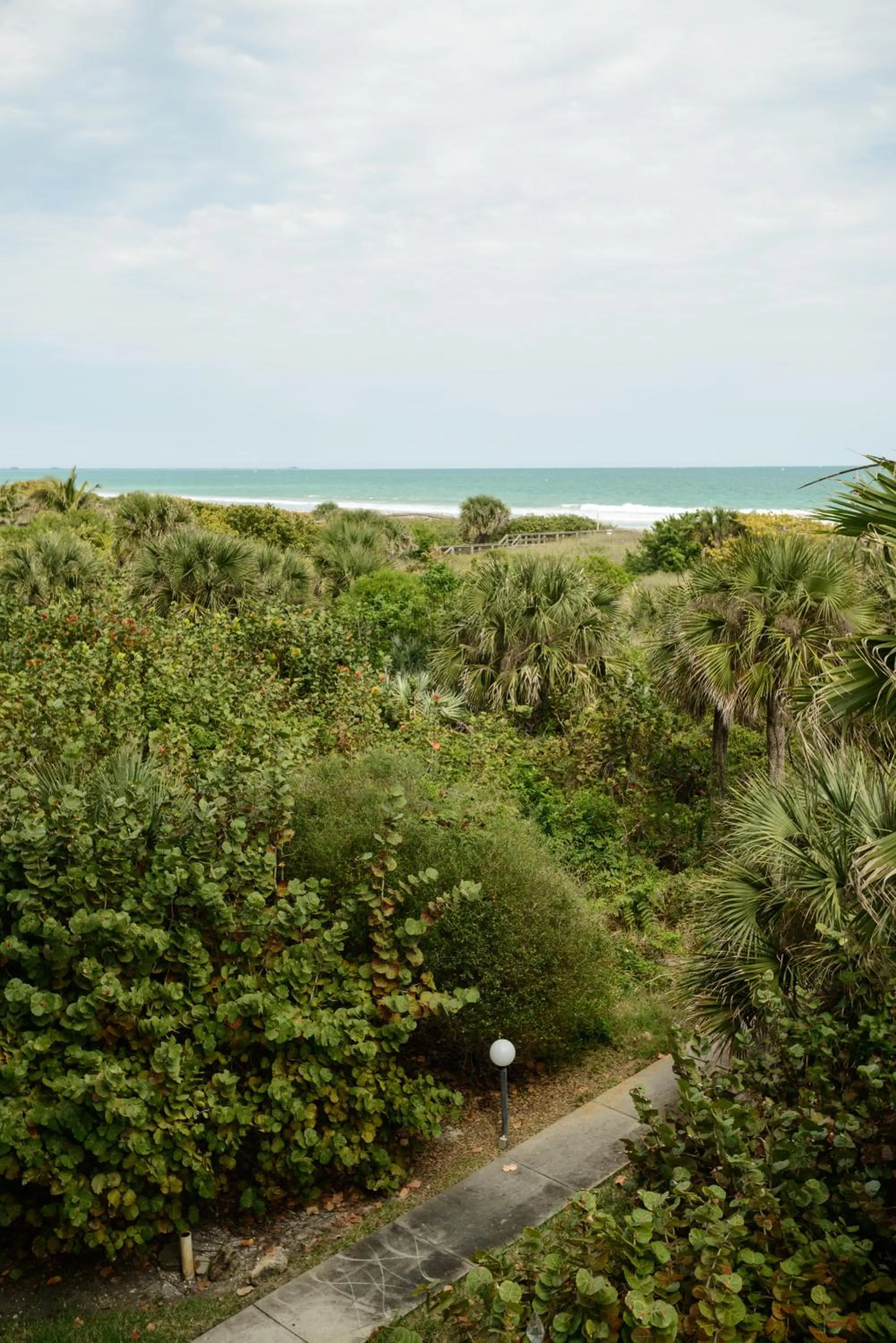 Natural landscape in Discovery Beach Resort