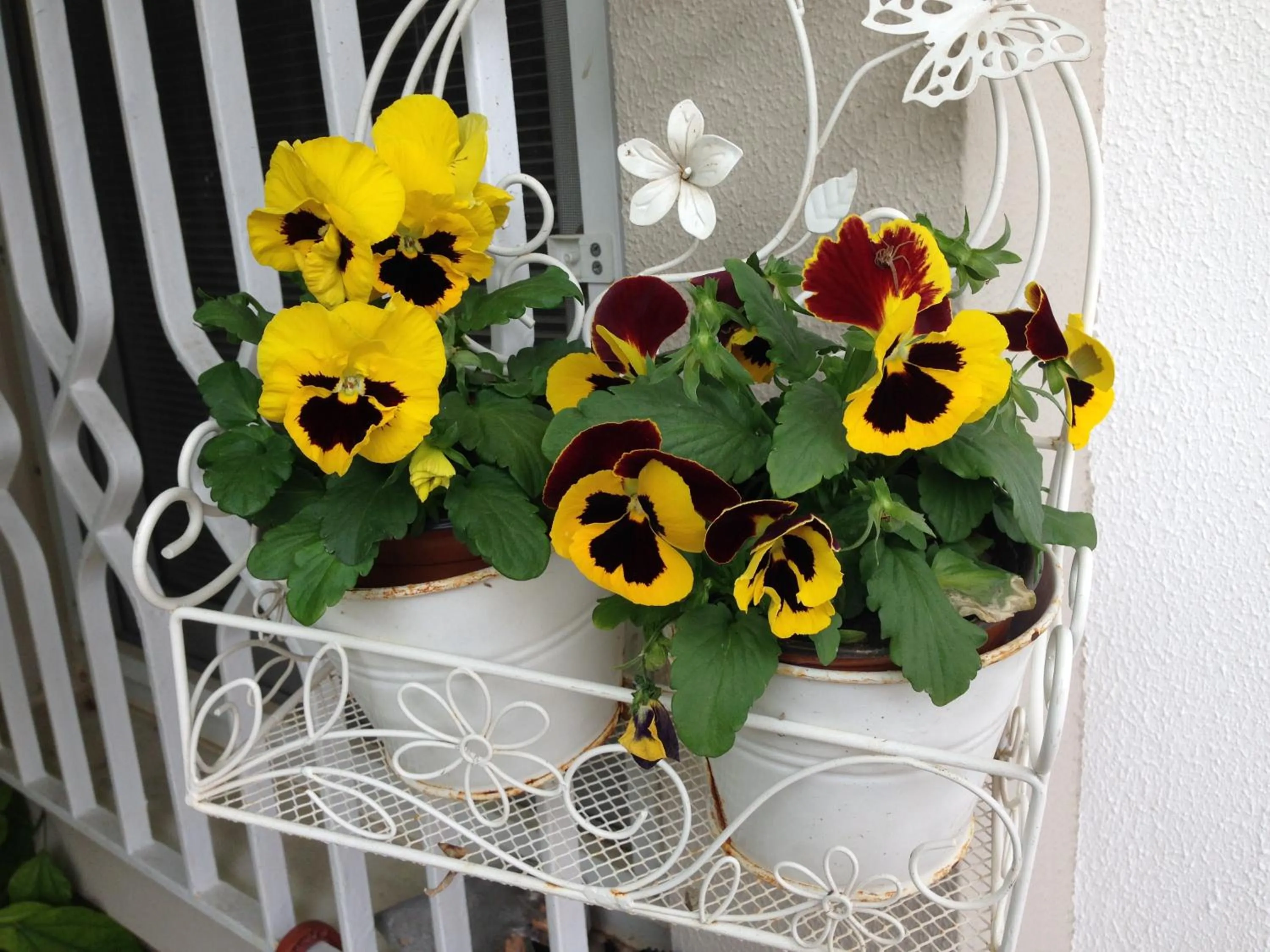 Garden in Alacati Kostem Hotel - Special Category