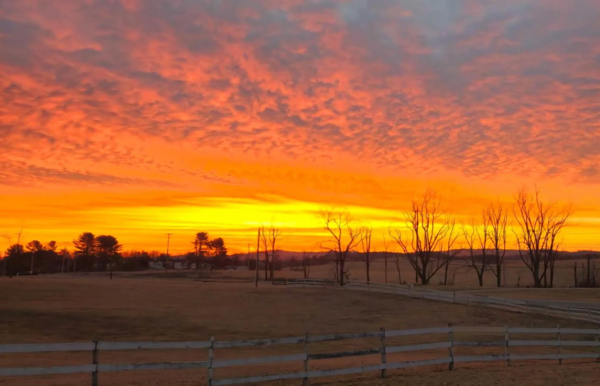 View (from property/room) in Fox Mountain Inn