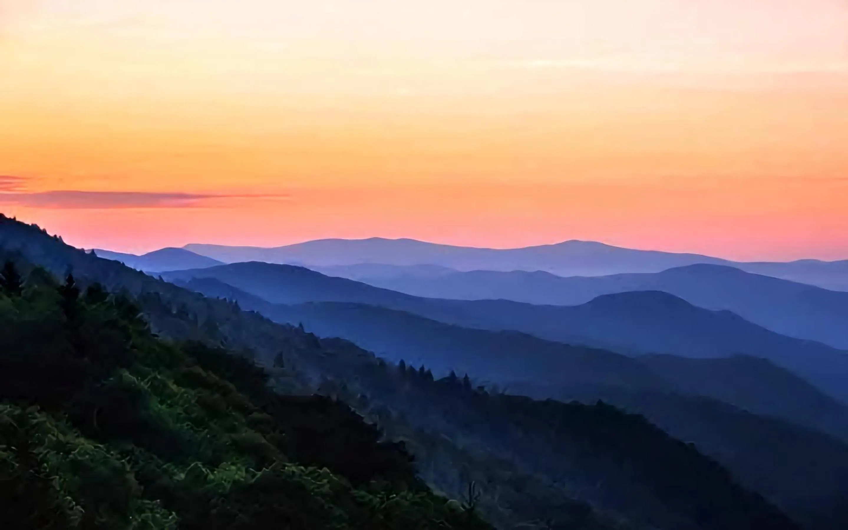 Area and facilities in Fox Mountain Inn