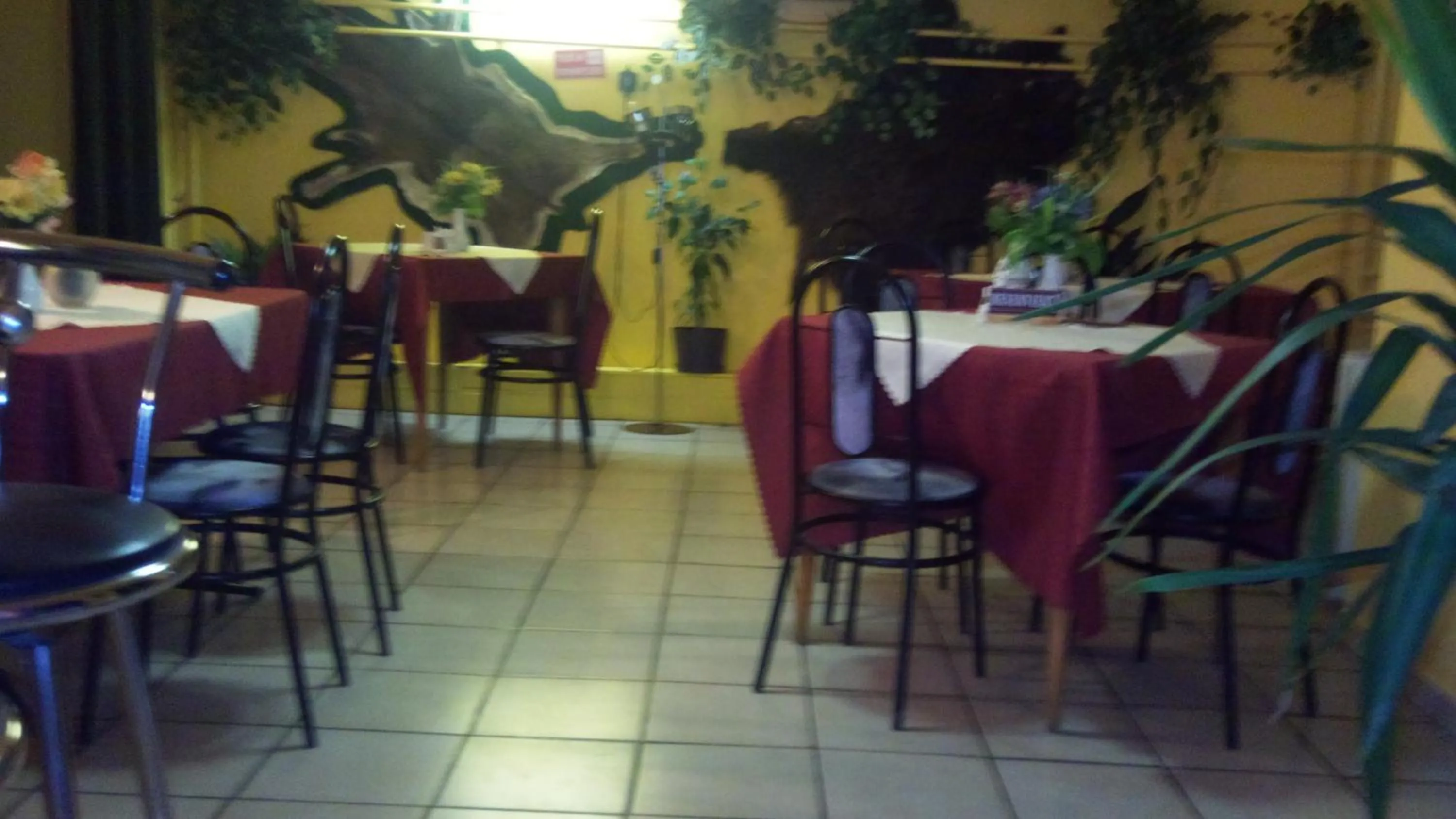 Restaurant/places to eat in Lillafüred Kapuja Hotel