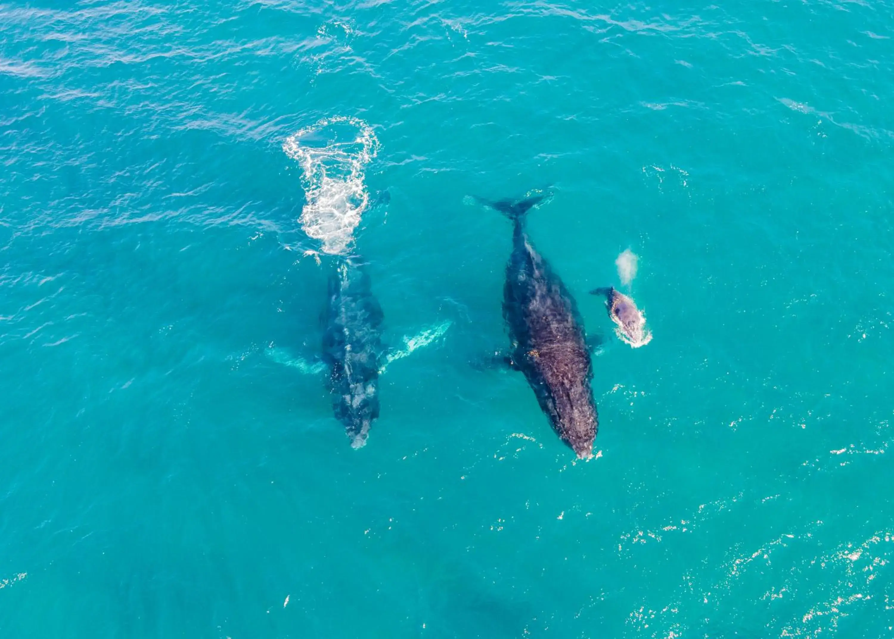 Bird's eye view in Sky Island Resort Bird's eye view in Sky Island Resort