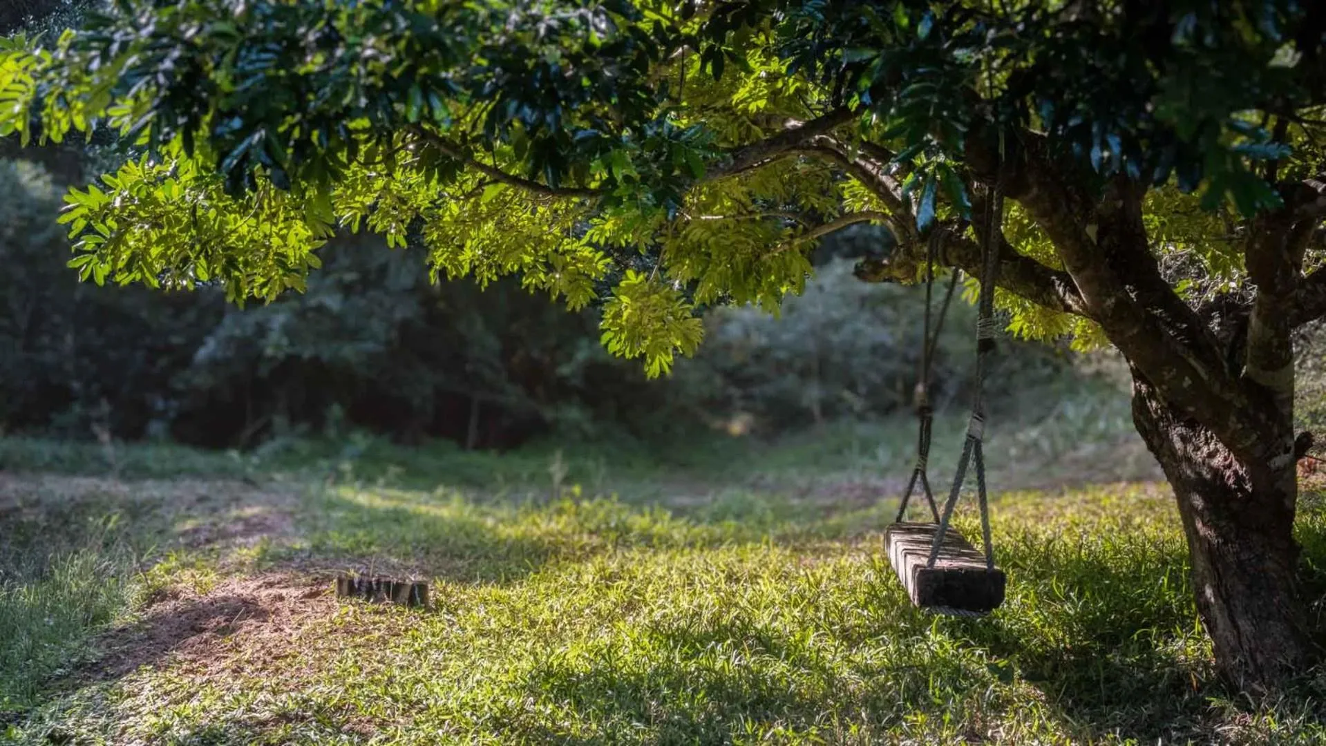 Natural landscape in Sky Island Resort