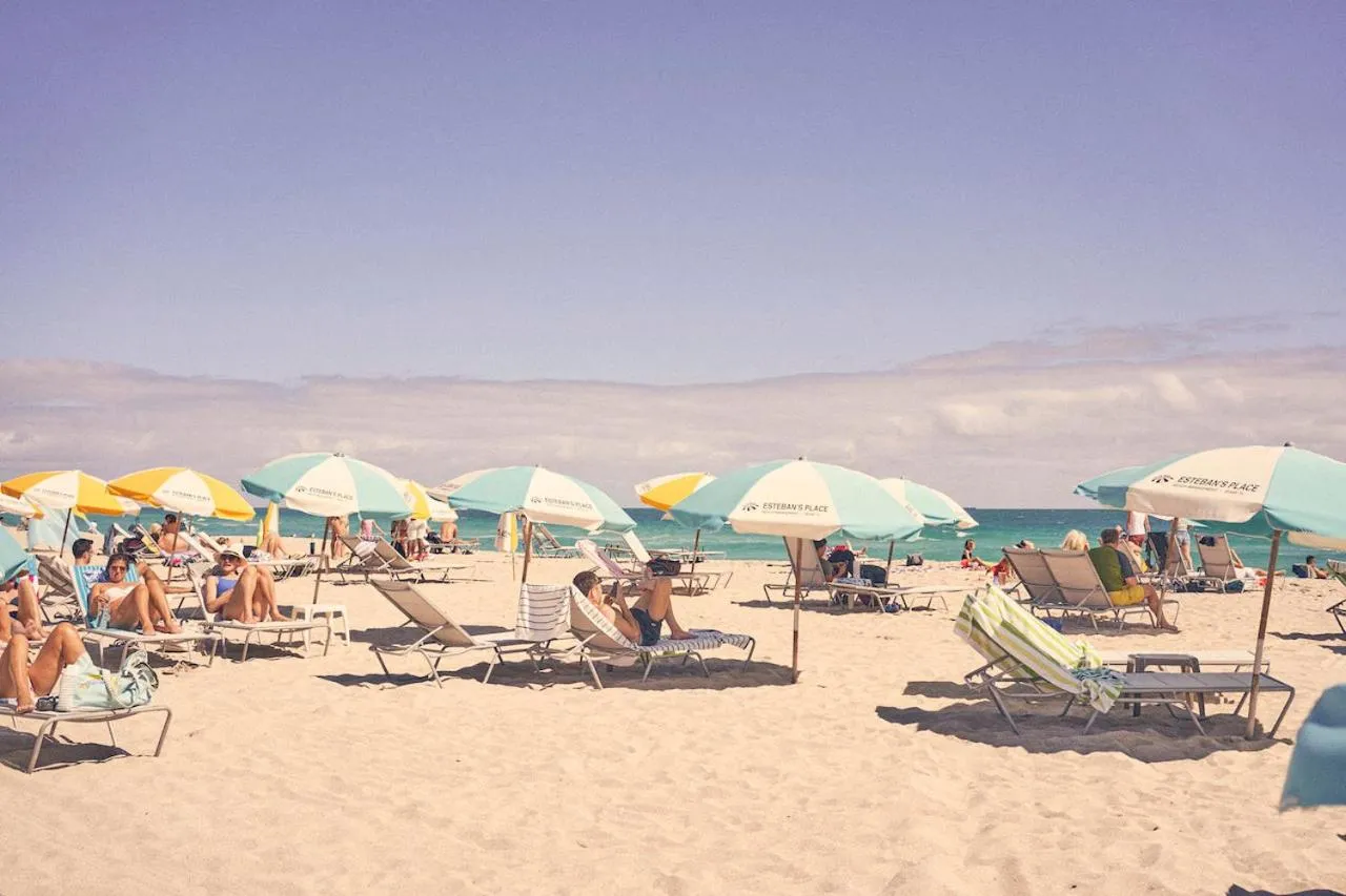 Beach in The Local House