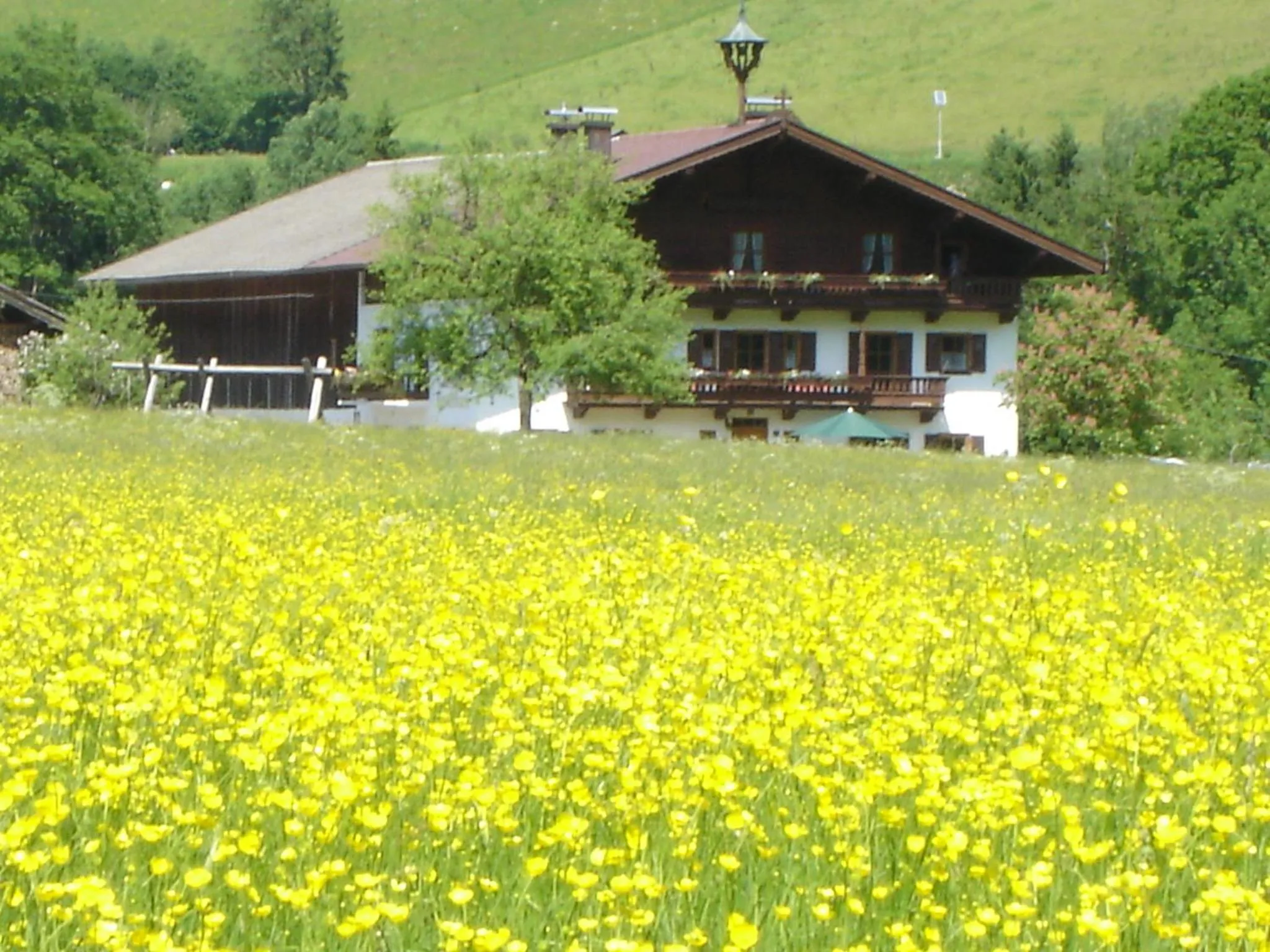 Landgasthof Dorfstadl