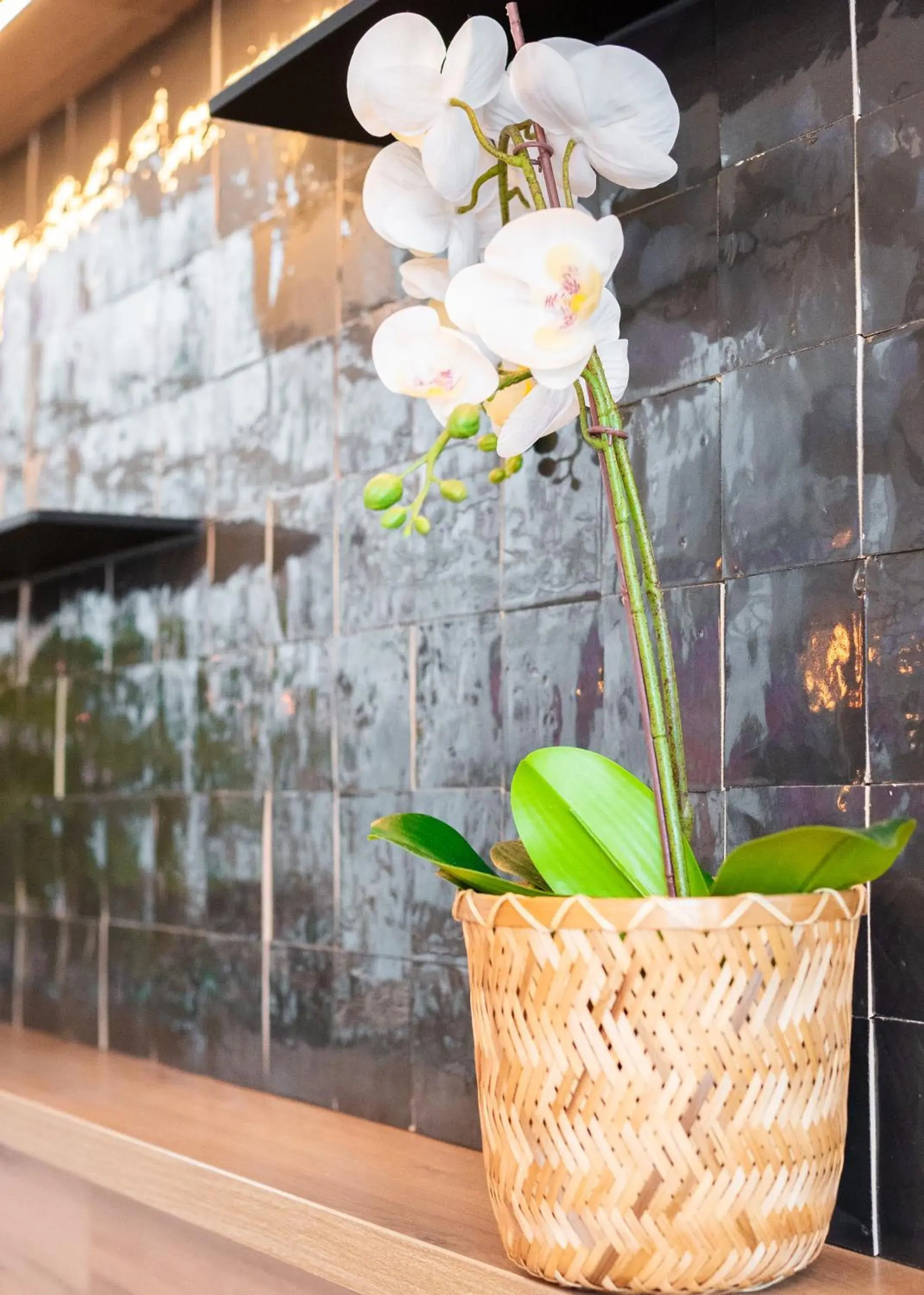 Facade/entrance in B&B HOTEL Brussels Centre Gare du Midi Facade/entrance in B&B HOTEL Brussels Centre Gare du Midi