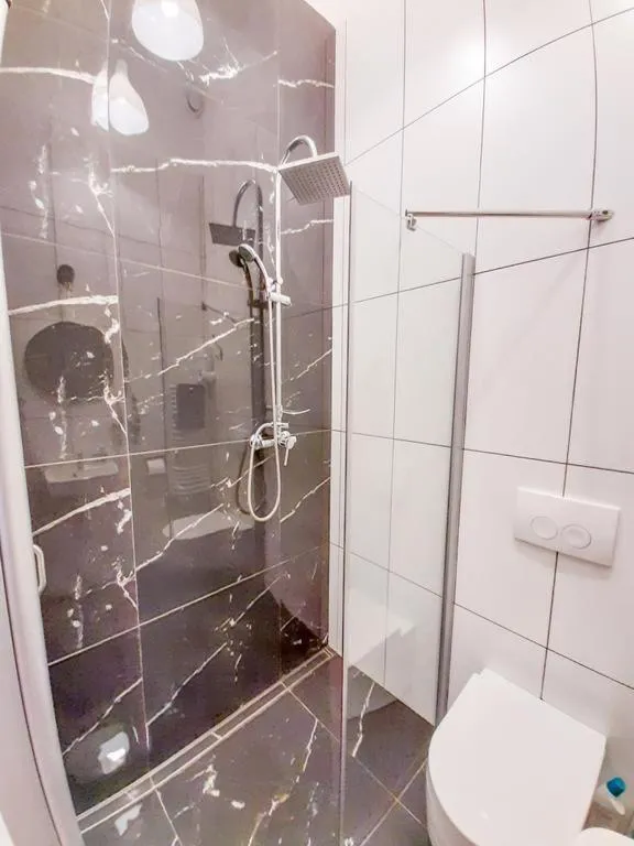 Bathroom in LION apartments