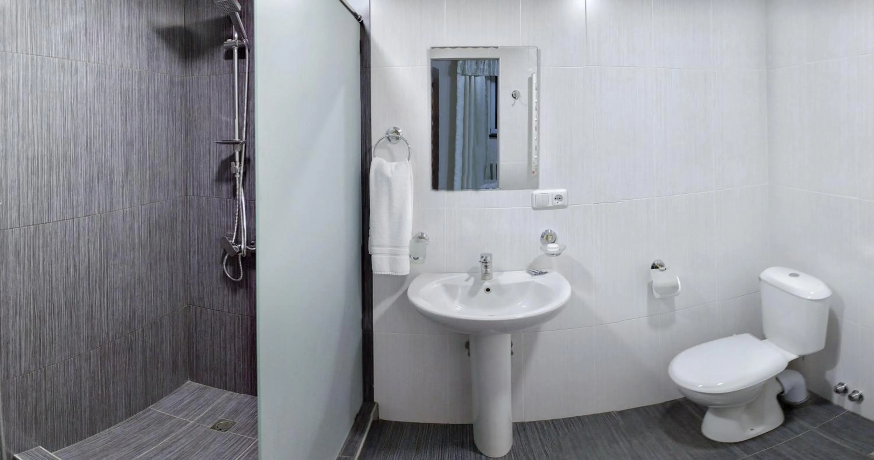 Toilet in Family Hotel