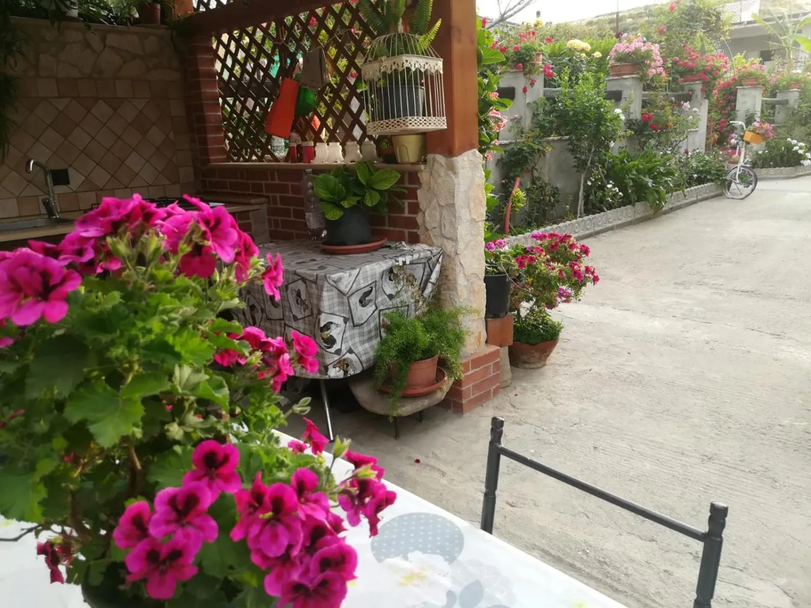 Property building in Villa delle rose