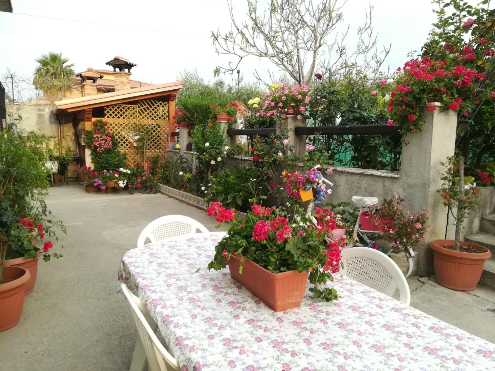 Property building in Villa delle rose