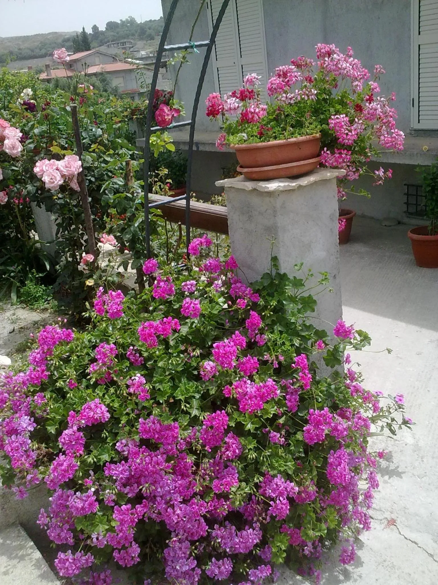 Property building in Villa delle rose