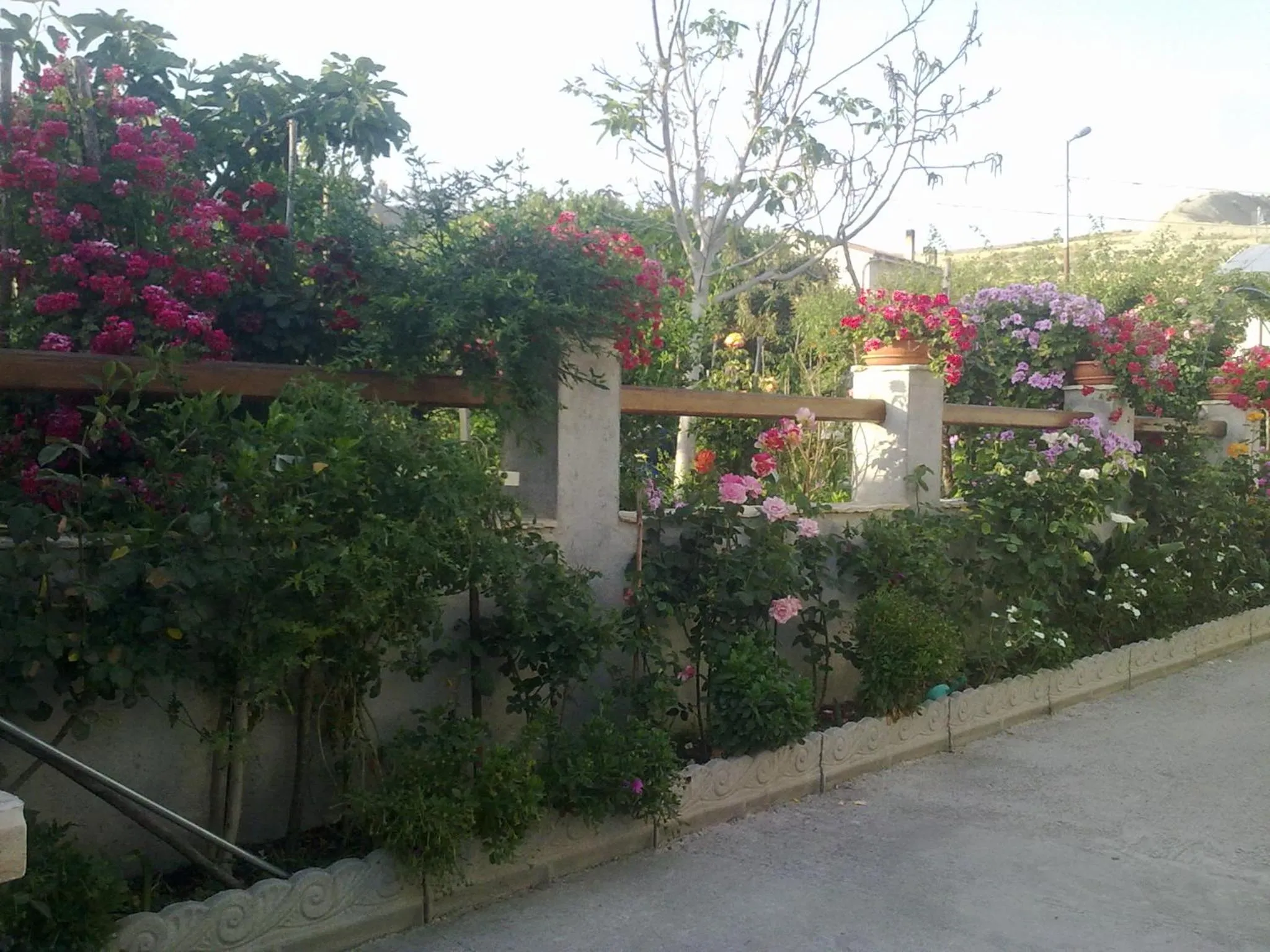 Property building in Villa delle rose