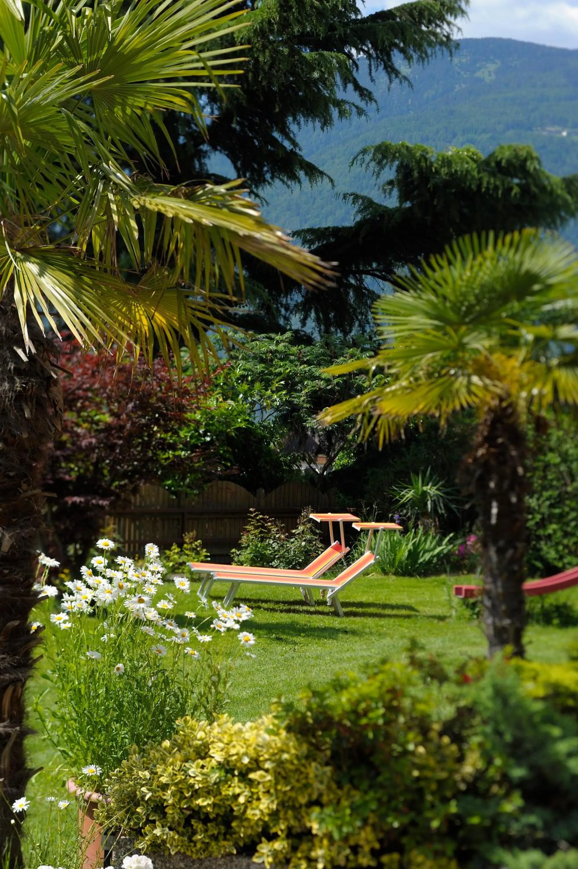 Day in Hotel Appartement Inge