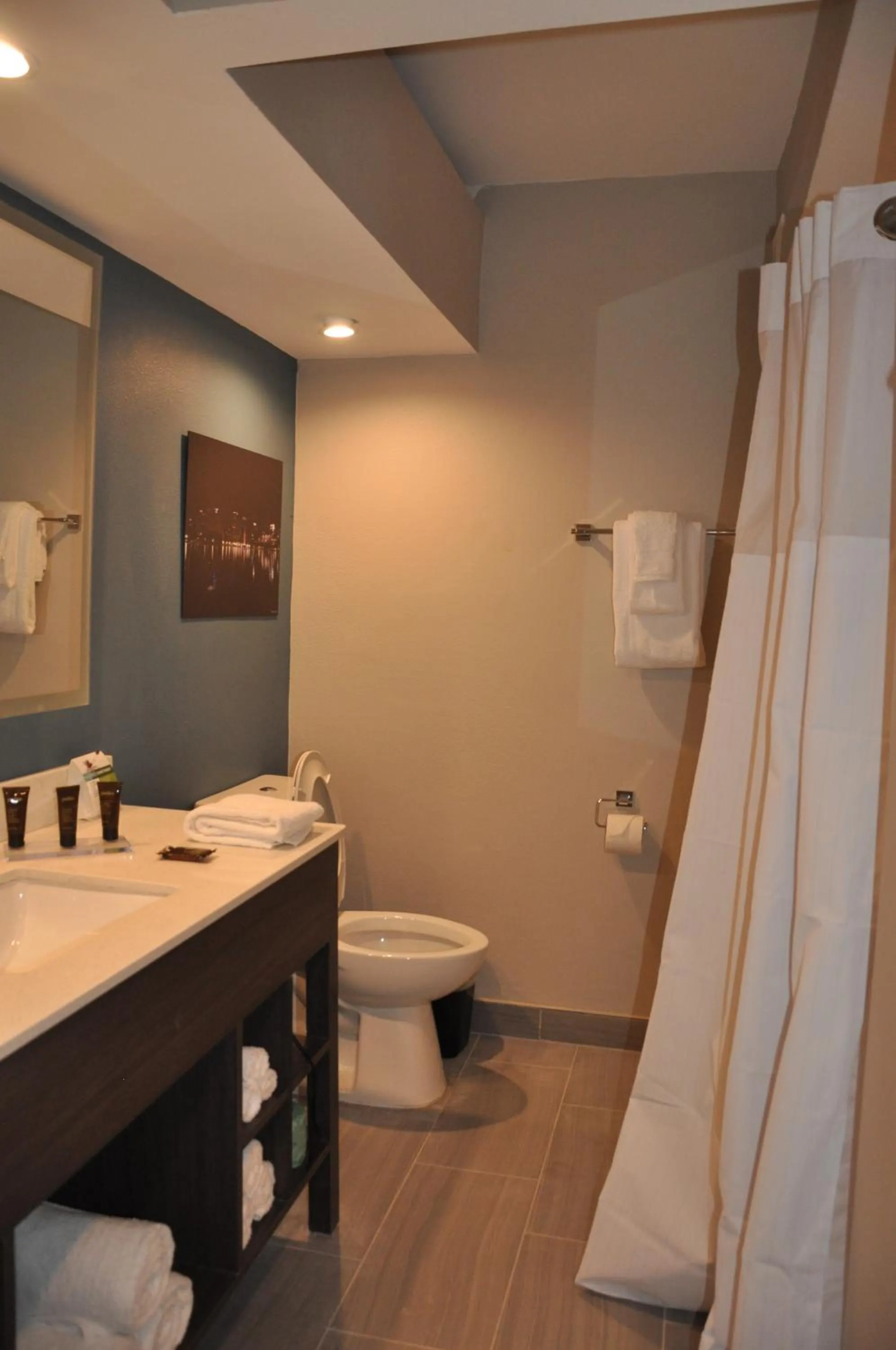 Bathroom in Nobile Hotel Parkway at Celebration Orlando Very Close to Disney Theme Parks