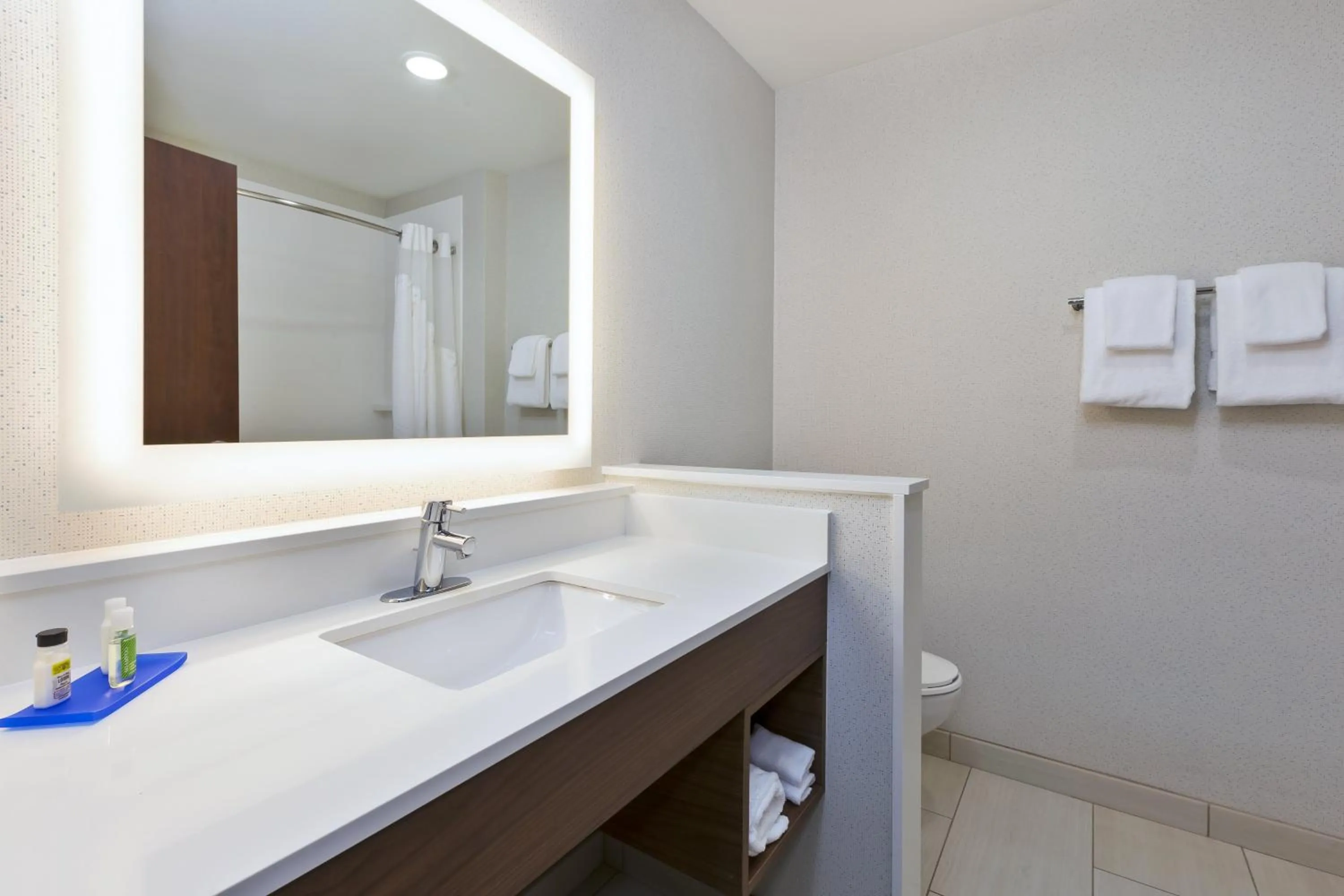 Bathroom in Holiday Inn Express & Suites - Painesville - Concord by IHG