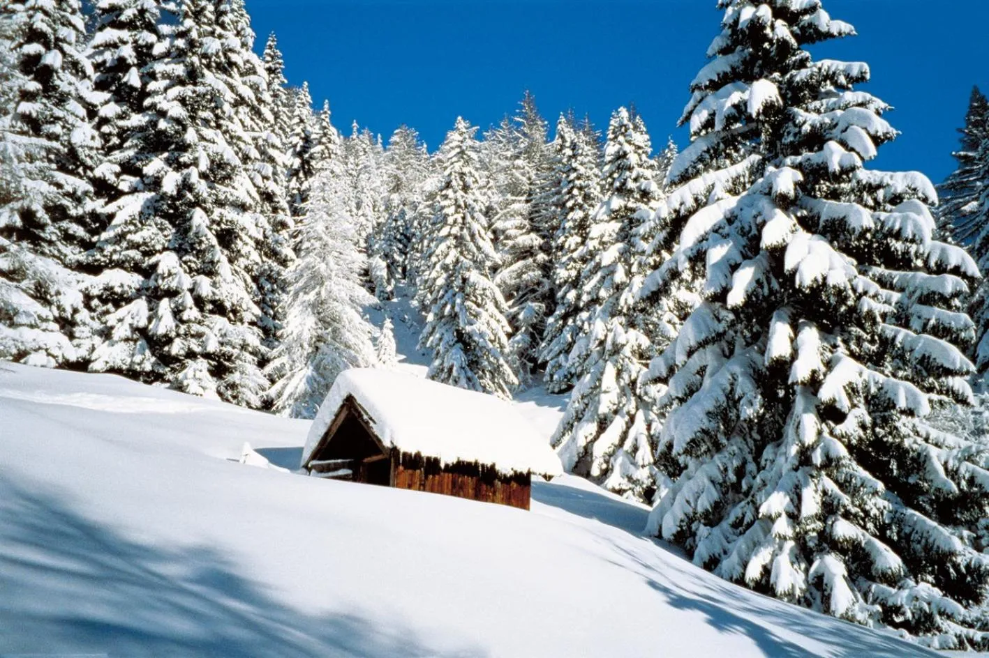 Natural landscape in Hotel Ploseblick